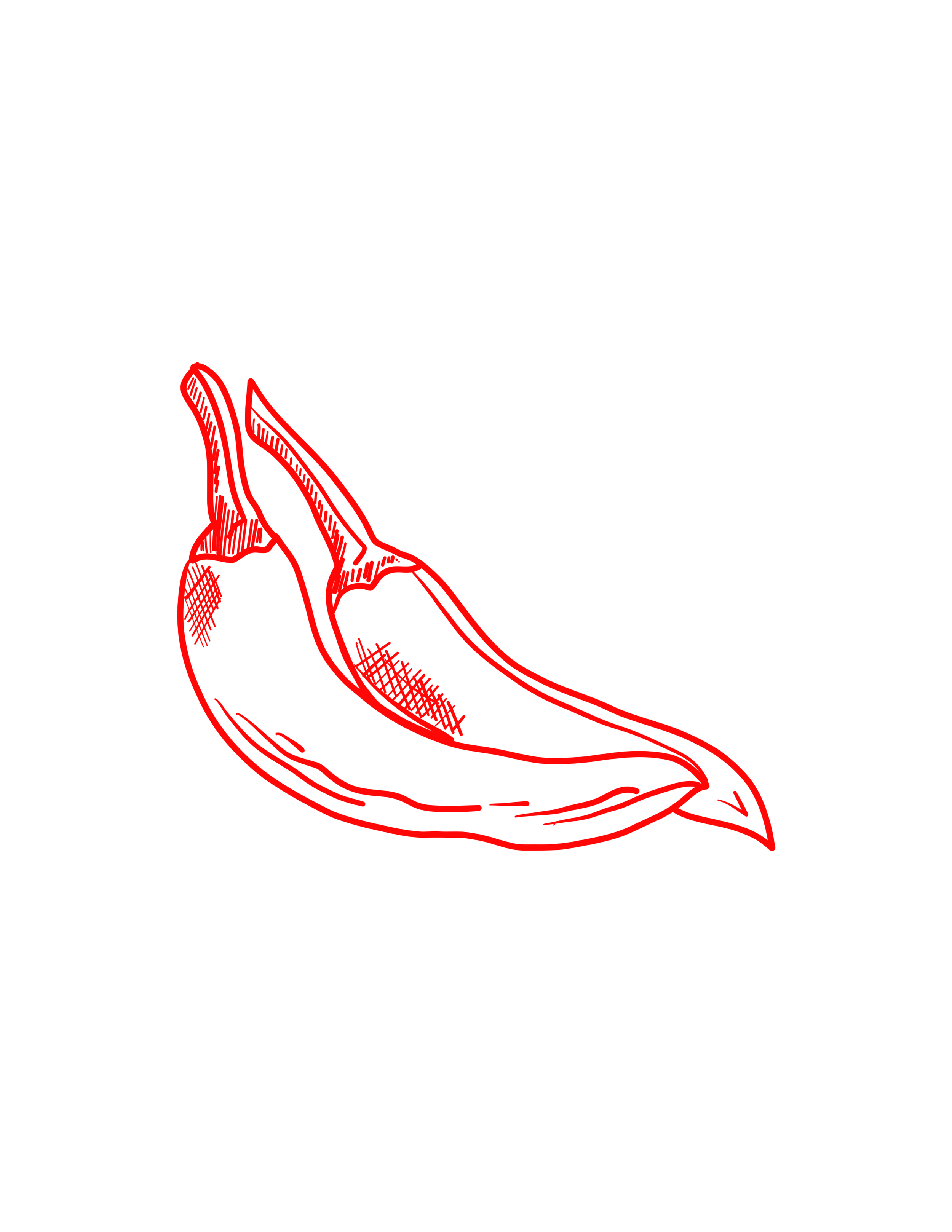 ILLUSTRATIONS (2).png