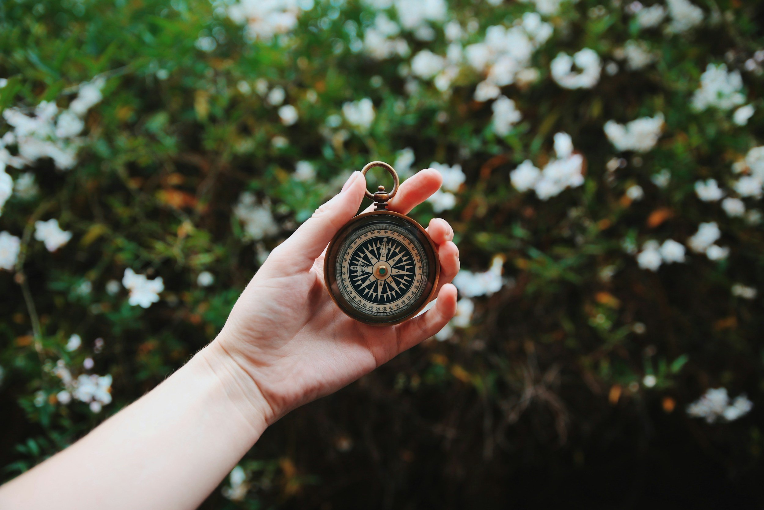 Matriarch Doula Mentorship