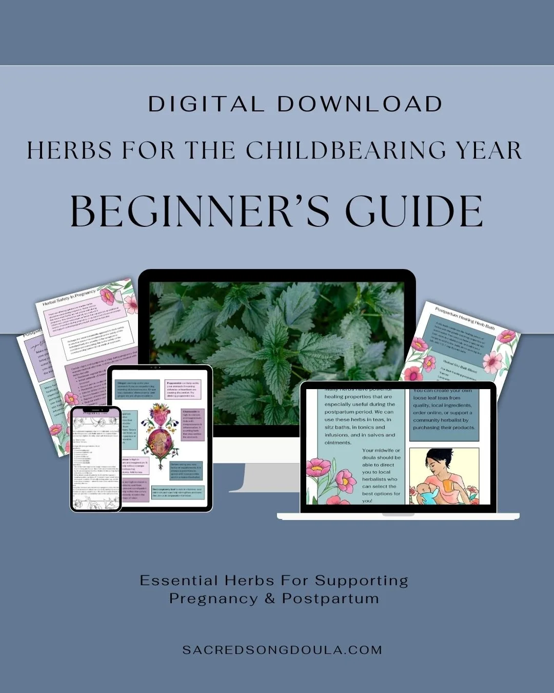 Herbal Medicine Guide for Pregnancy & Postpartum