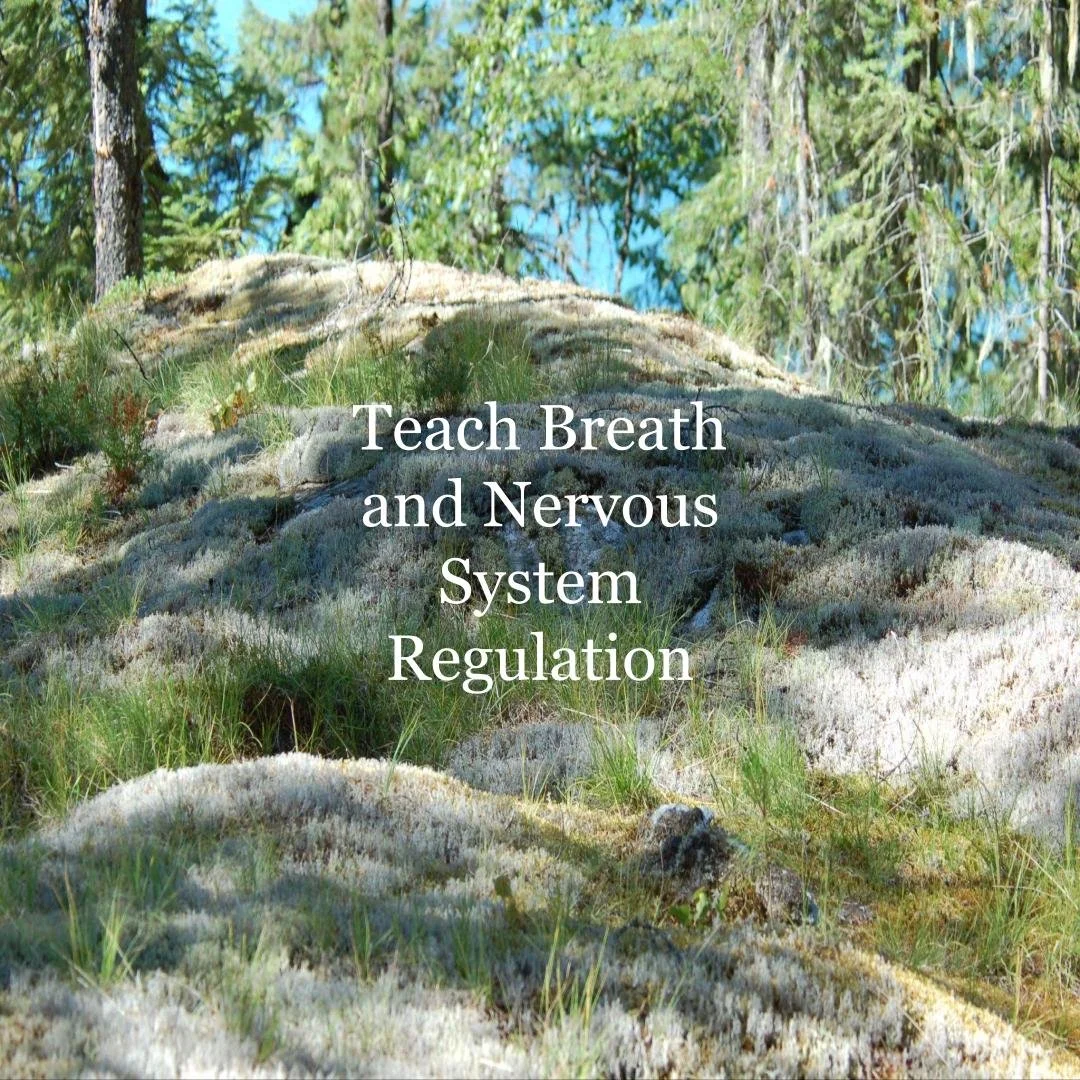 Teaching Breath and Nervous System Regulation