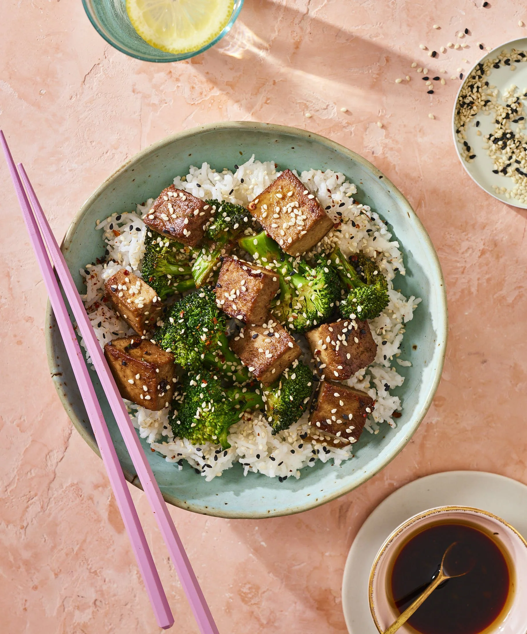 TOFU_TERIYAKI_018 copy.jpg