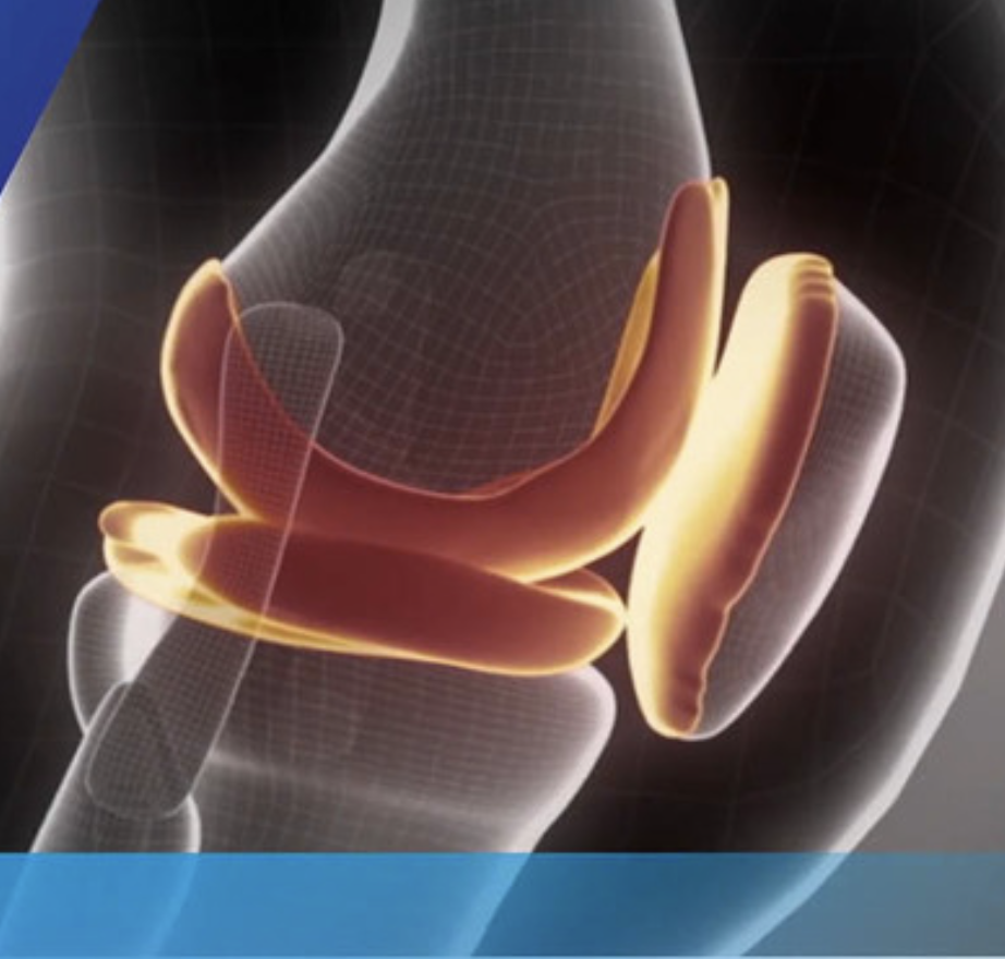 Information — The Knee Center