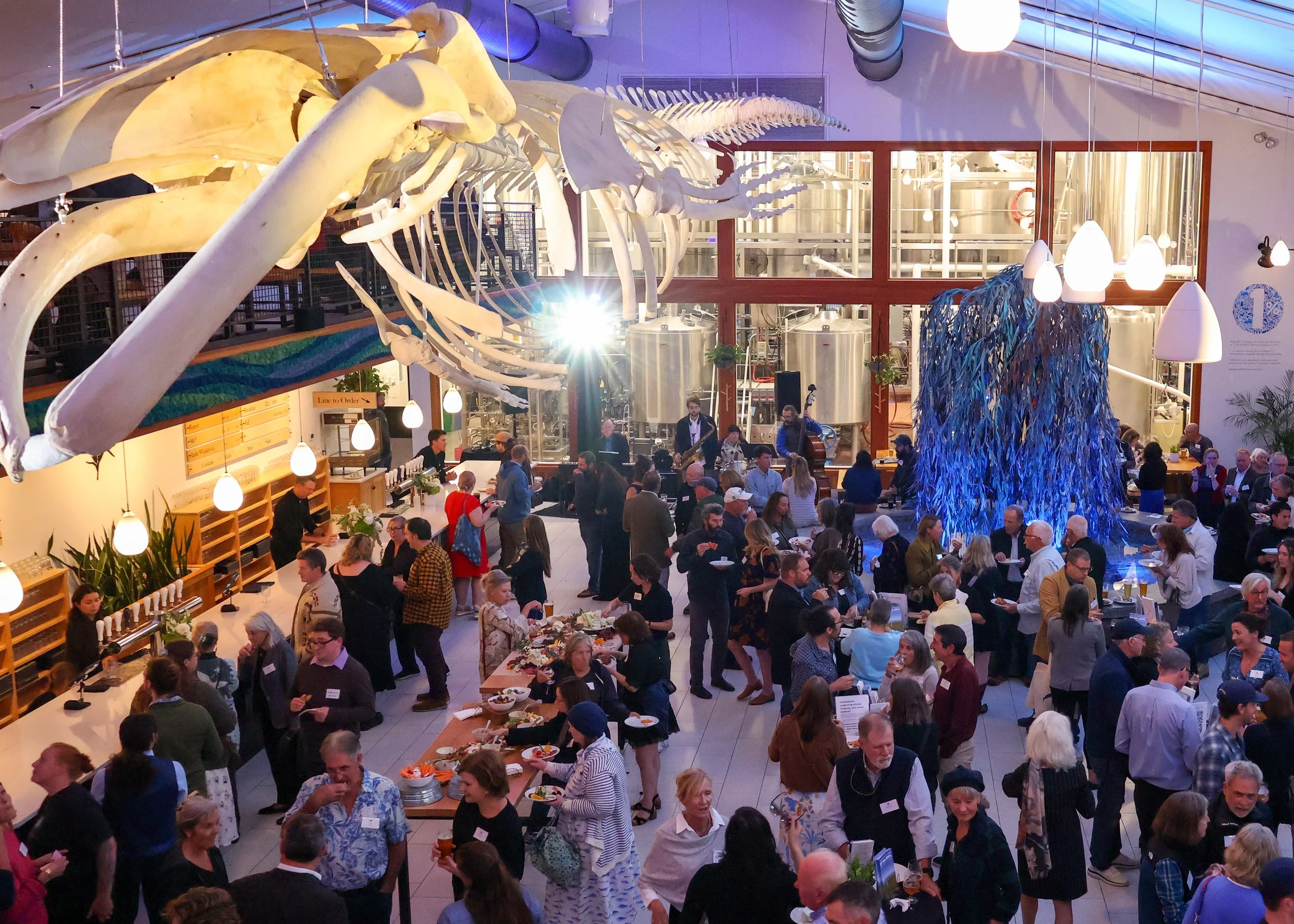Maine Beer Company raises a glass in support of Allied Whale