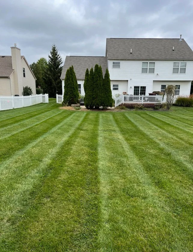 Fresh cut lawn