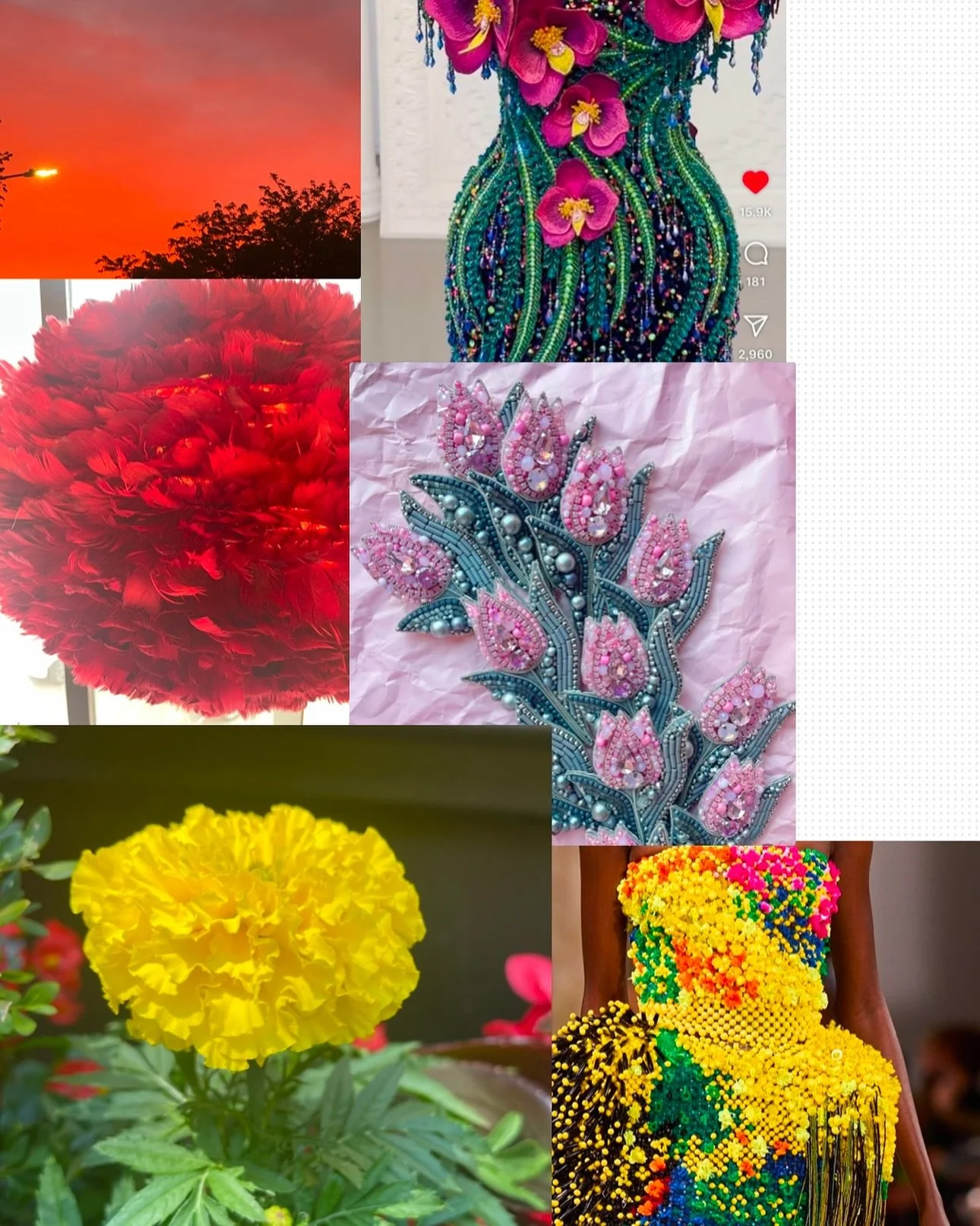 #PapillaeHouseofDesign