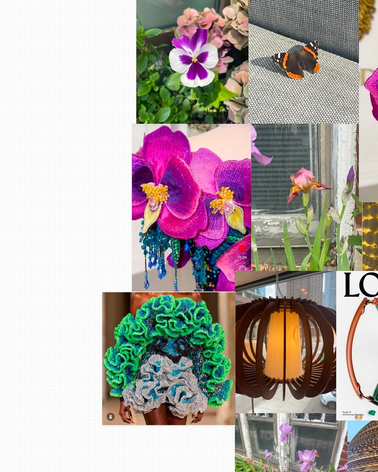 #PapillaeHouseofDesign