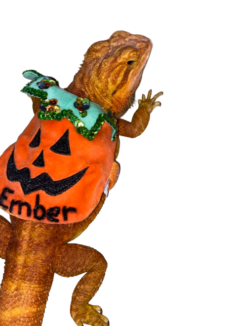 Ember1.png