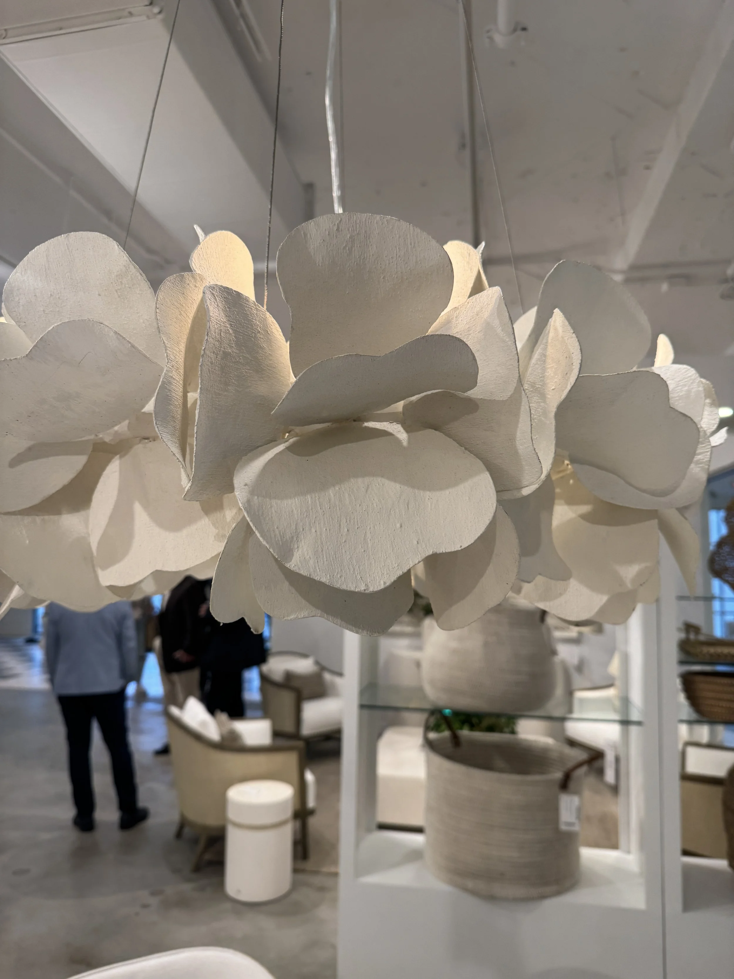 Organic lighting.JPG