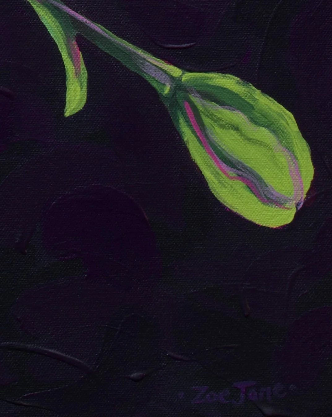 DSC_0524.jpeg