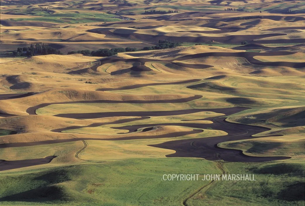 Aerial view of wheat fields in the Palouse Hills of Washington State
