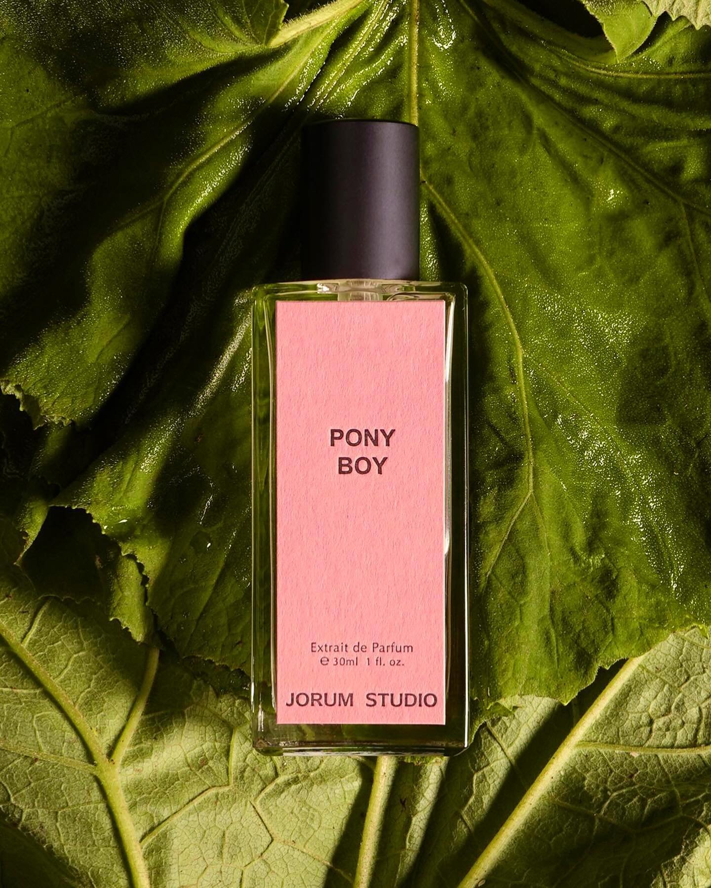 Pony Boy Extrait de Parfum is a fresh, green rhubarb fragrance with steamed cedarwood, brutal beetroot and tempting pink lotus notes. 

An energetic aquatic fragrance, the tingling sourness of Rhubarb with earthy Vetiver and mineral Pink Lotus Absolu