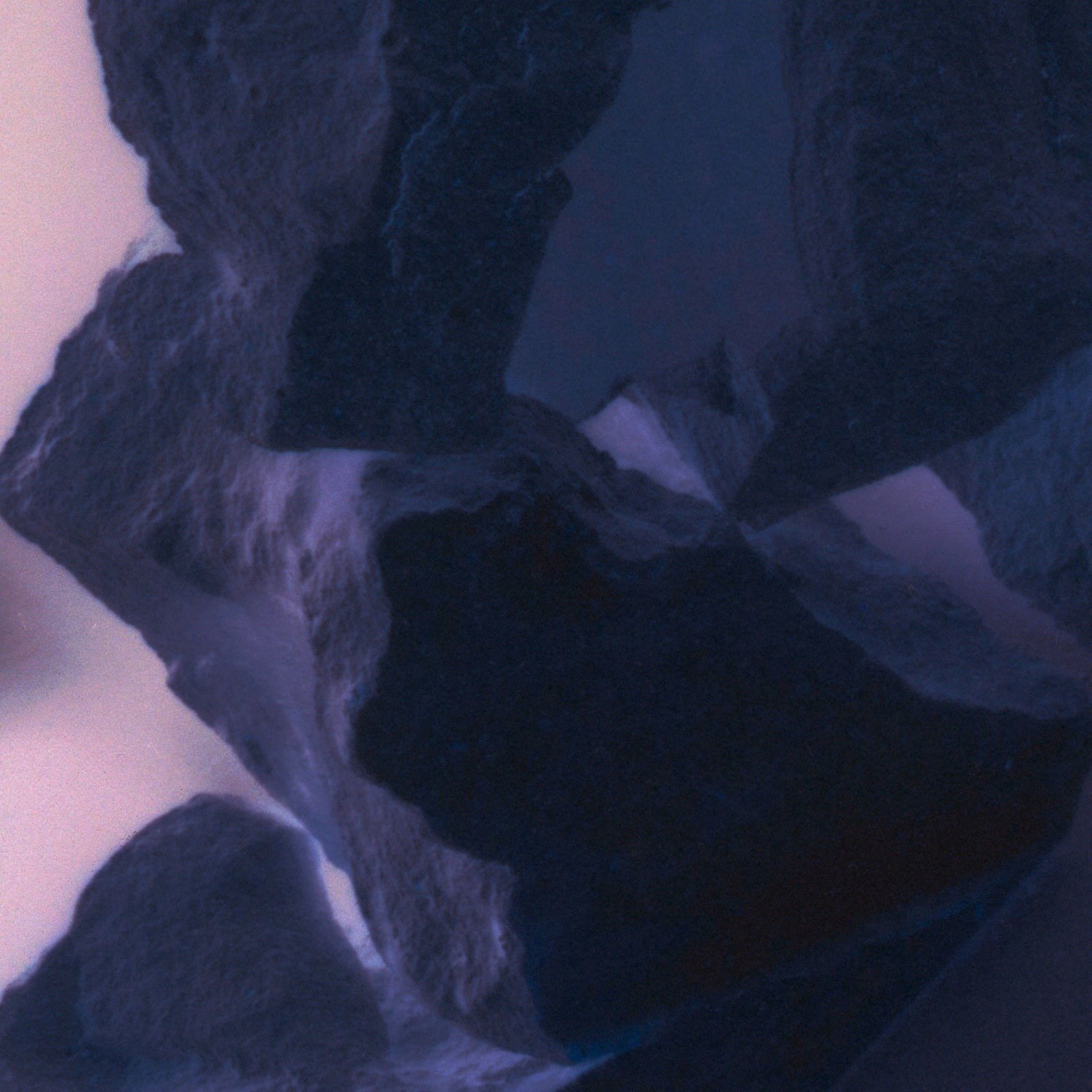 Botany2_5a37001a-f78b-4f1f-b209.jpeg