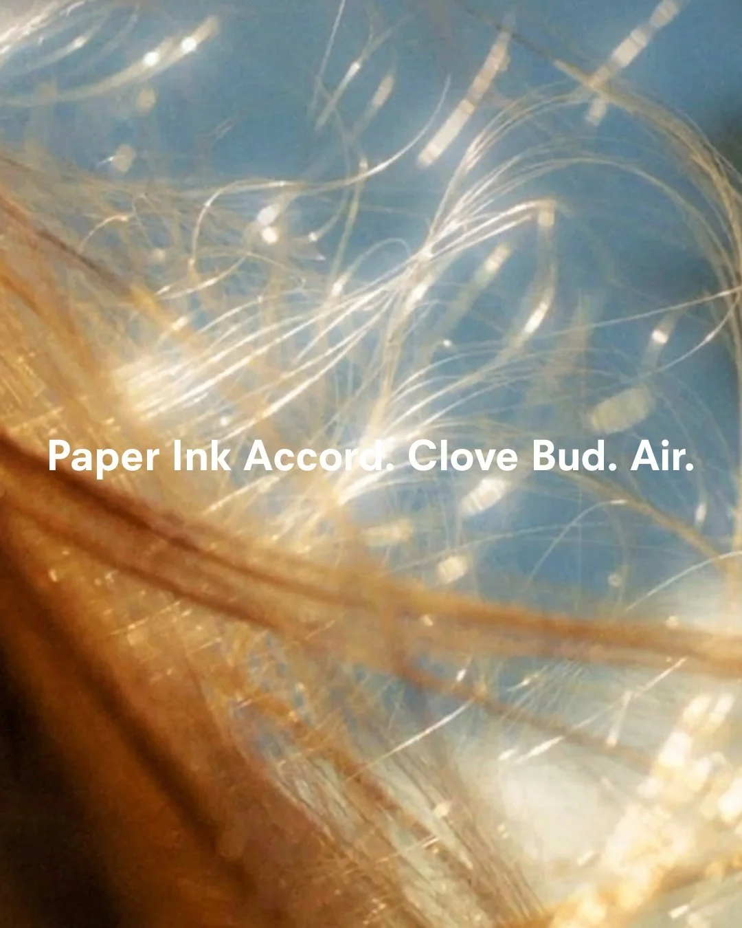 YOUNG_AIR_teaser_2.jpg