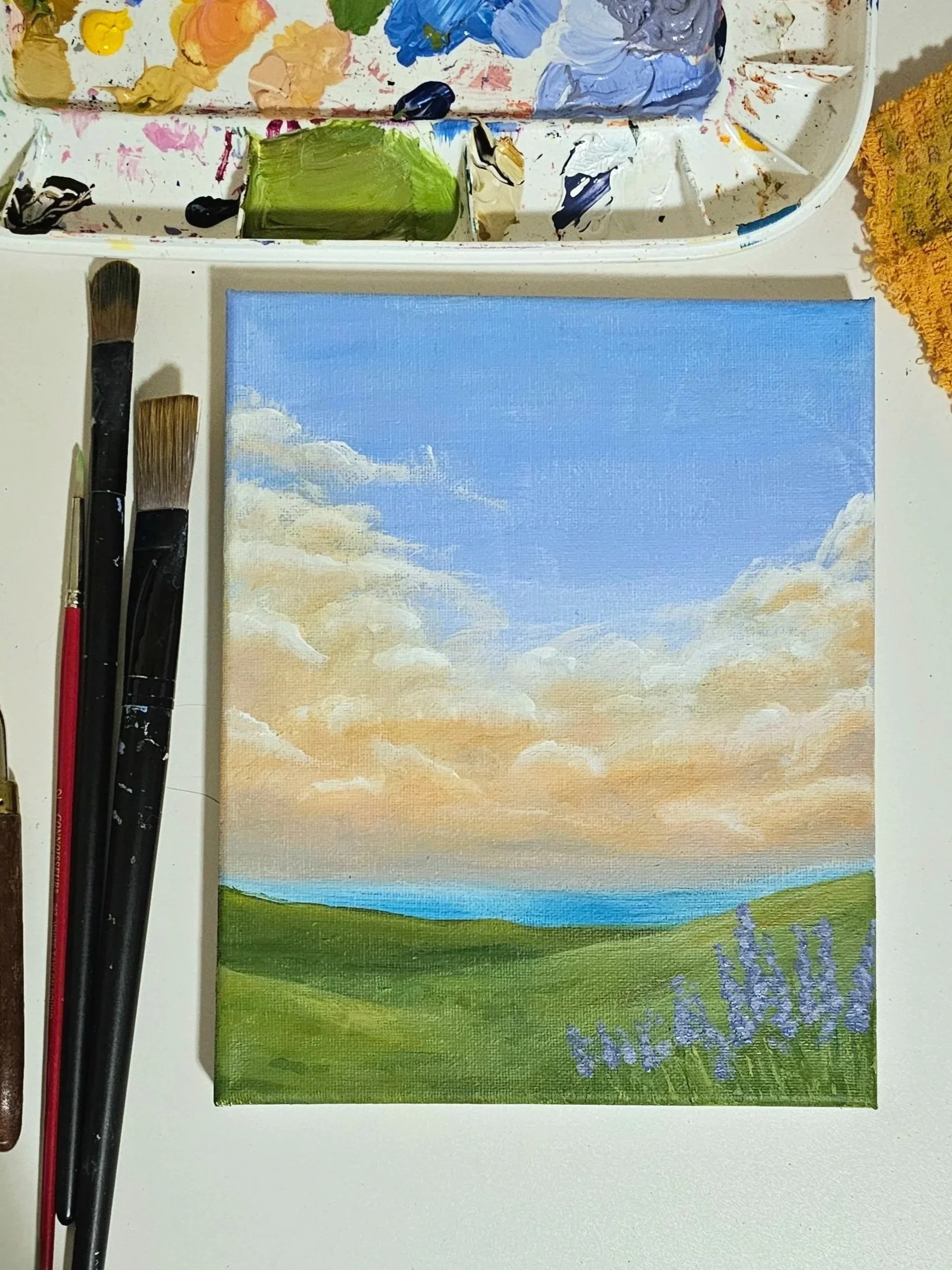 Acrylic Painting - Valley