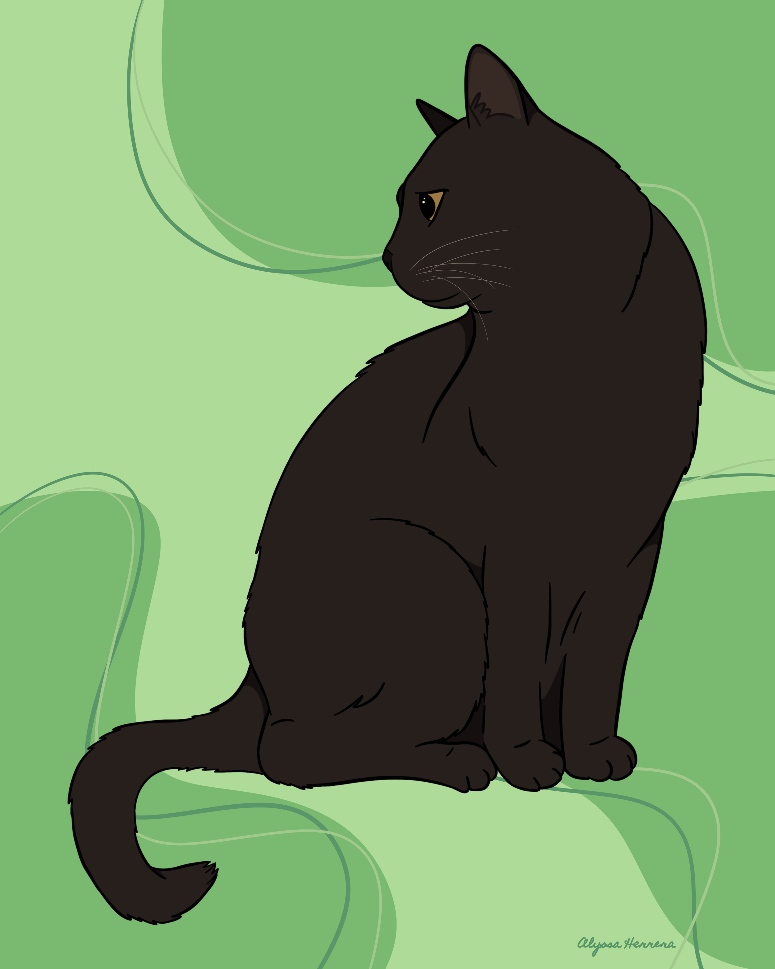 "Black Cat"
Digital Illustration - Commission
2024

NOT FOR SALE