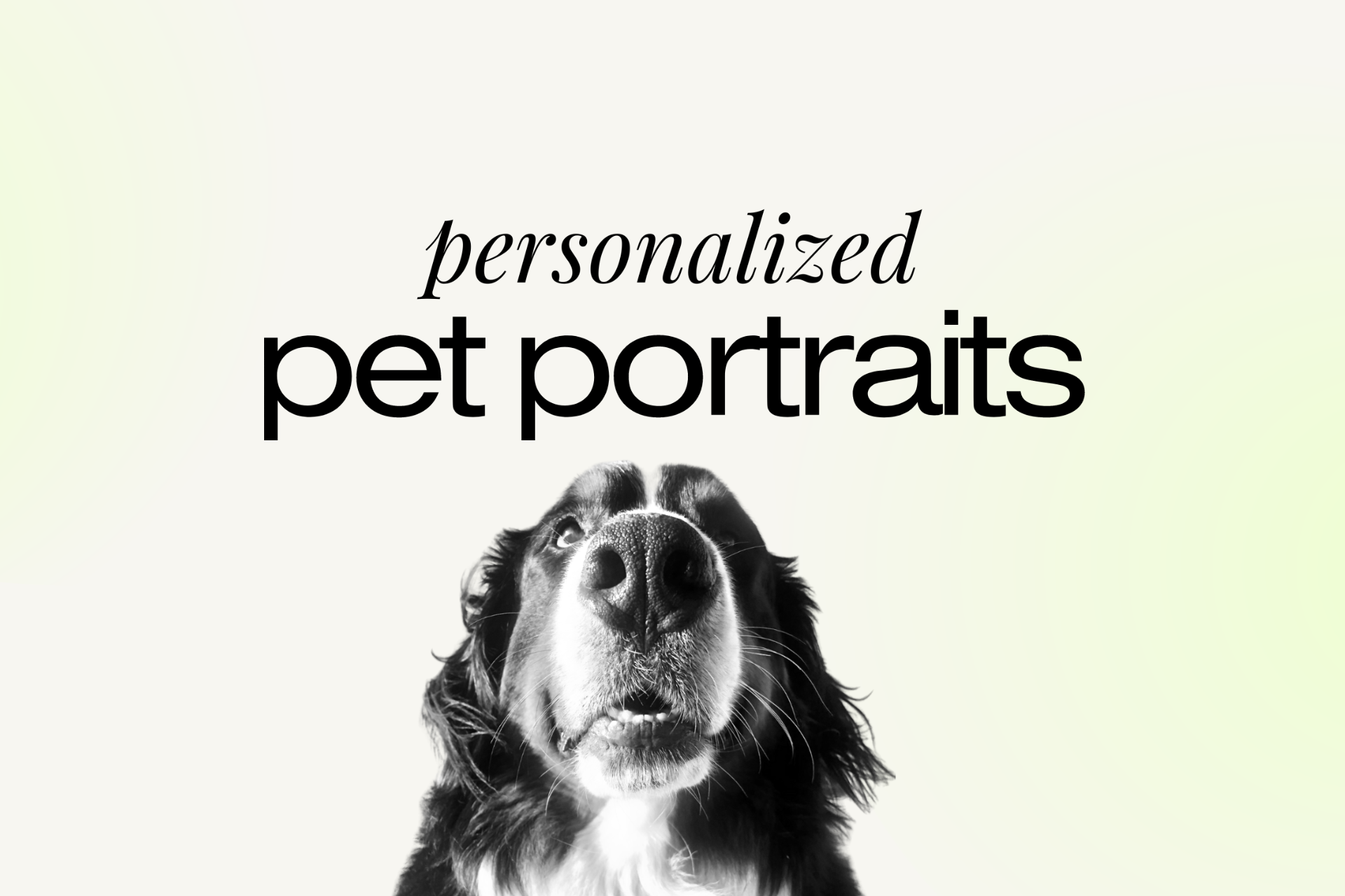 Leash And Collar Pets Custom Pet Portraits Lex Studio Collective leash-and-collar-pets-custom-pet-portraits-lex-studio-collective