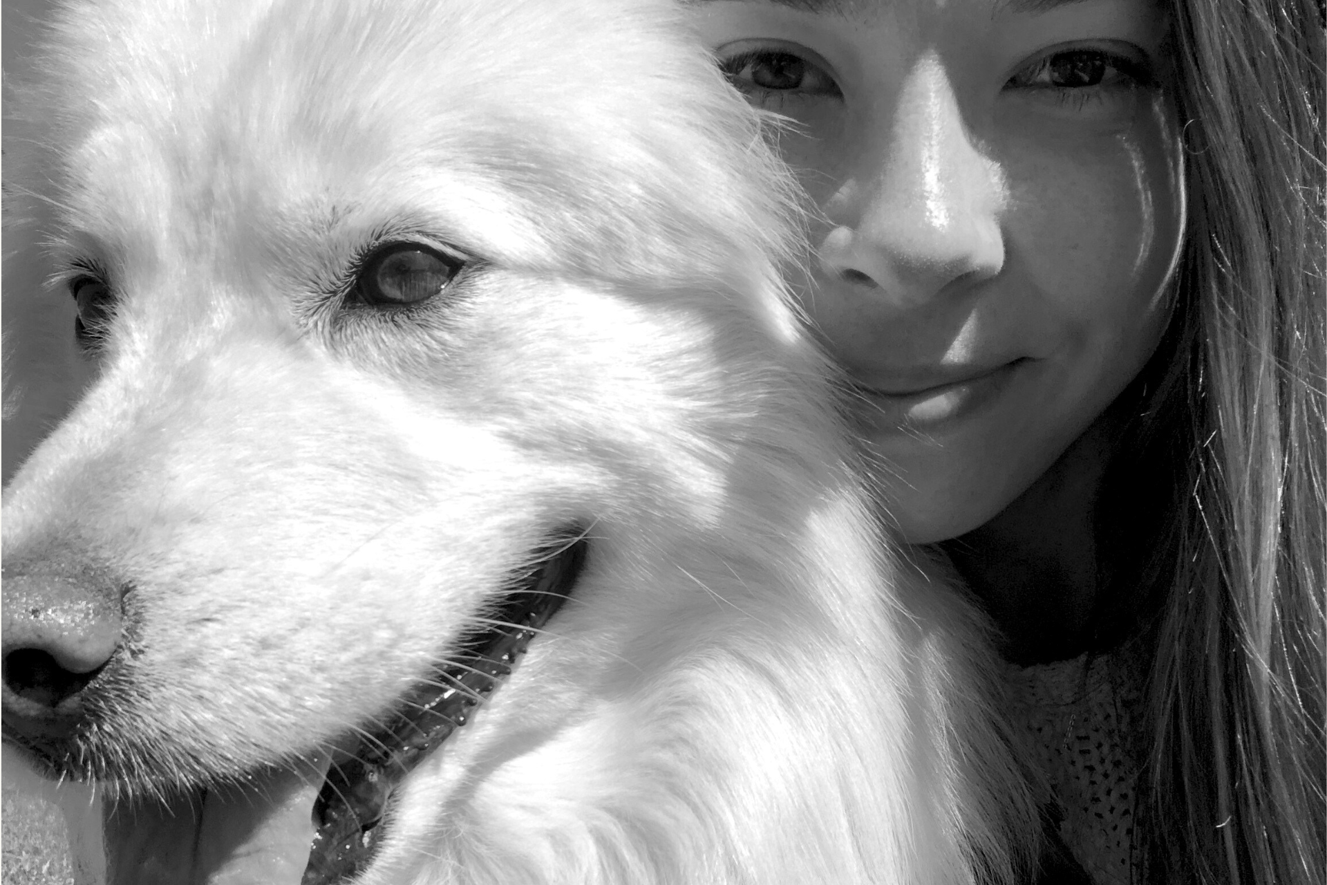 leash-and-collar-pets-custom-pet-portraits-lex-studio-collective