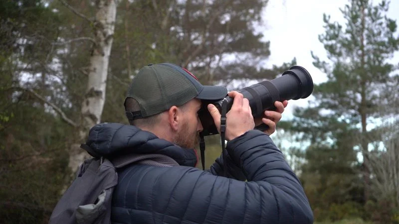 Wildlife spotting