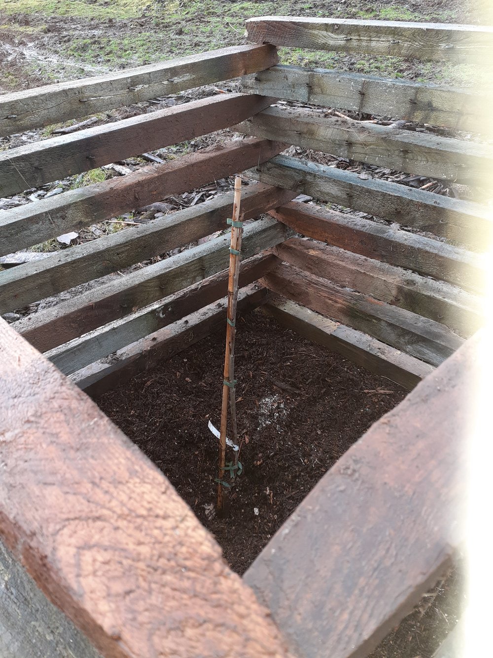 food forest sapplings protected by fence posts - close up .jpg