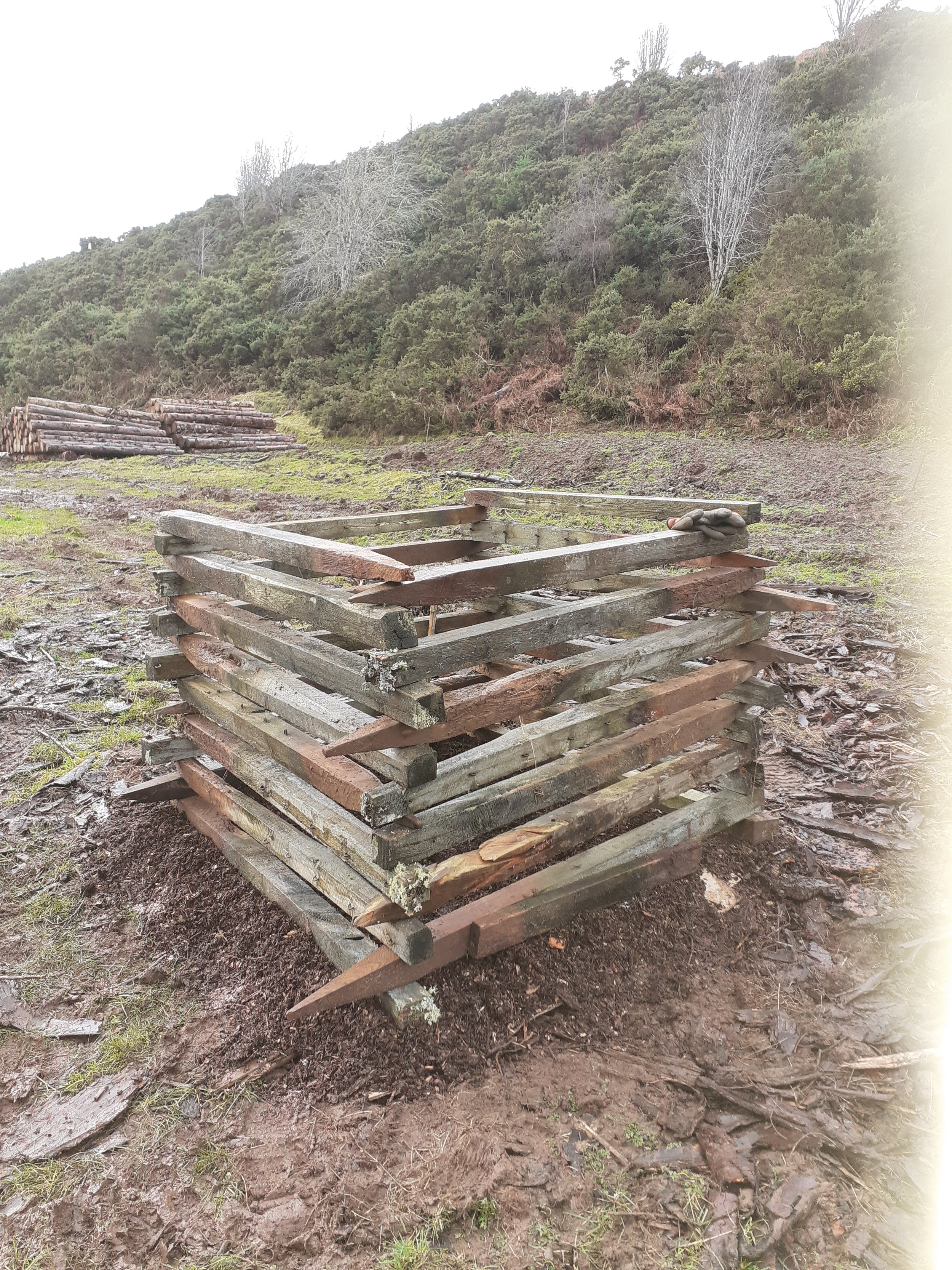 food forest sapplings protected by fence posts.jpg