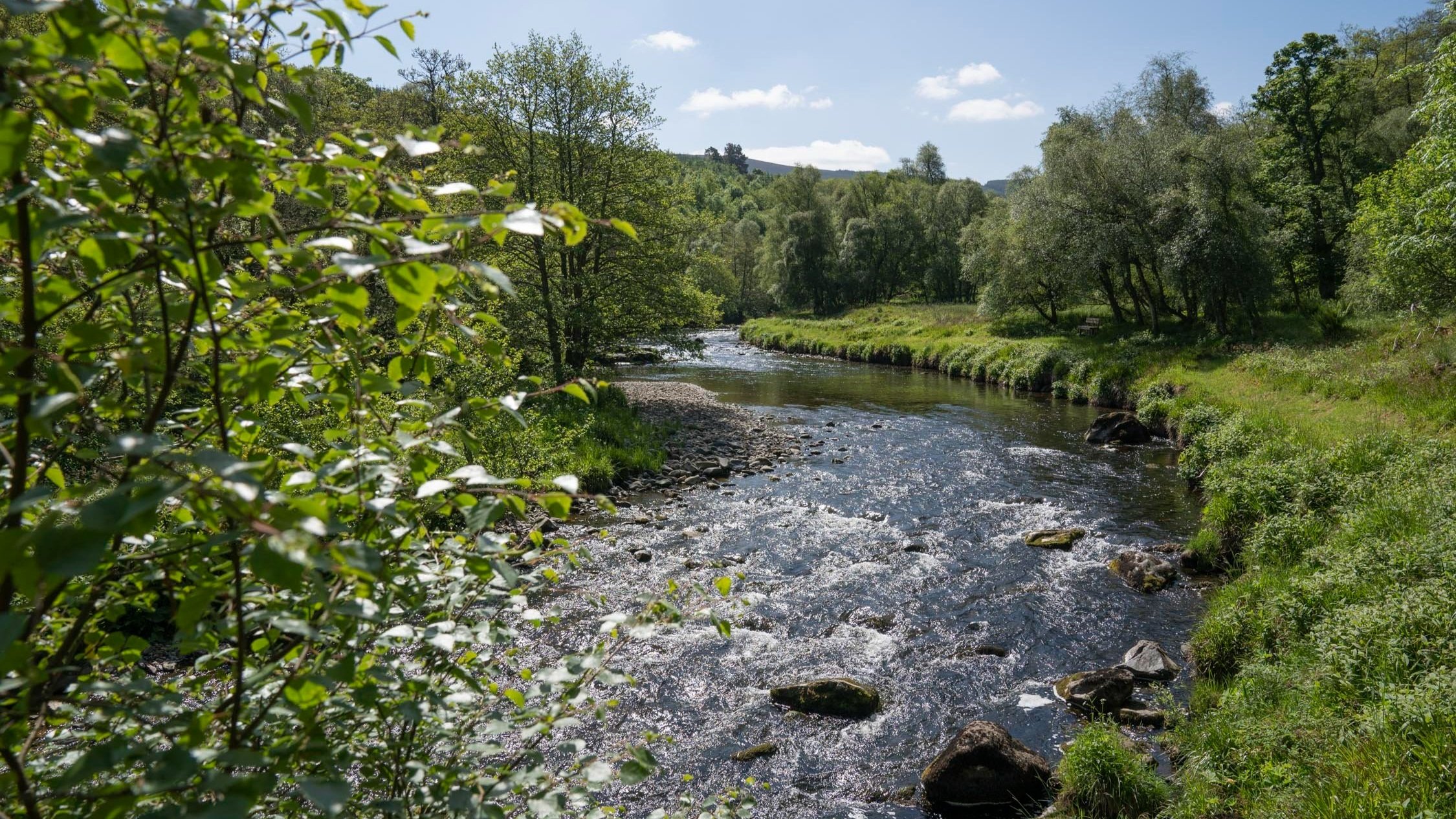 winding+river+deveron.jpg