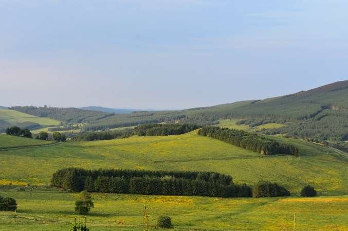 View northeast from Craig Dorney