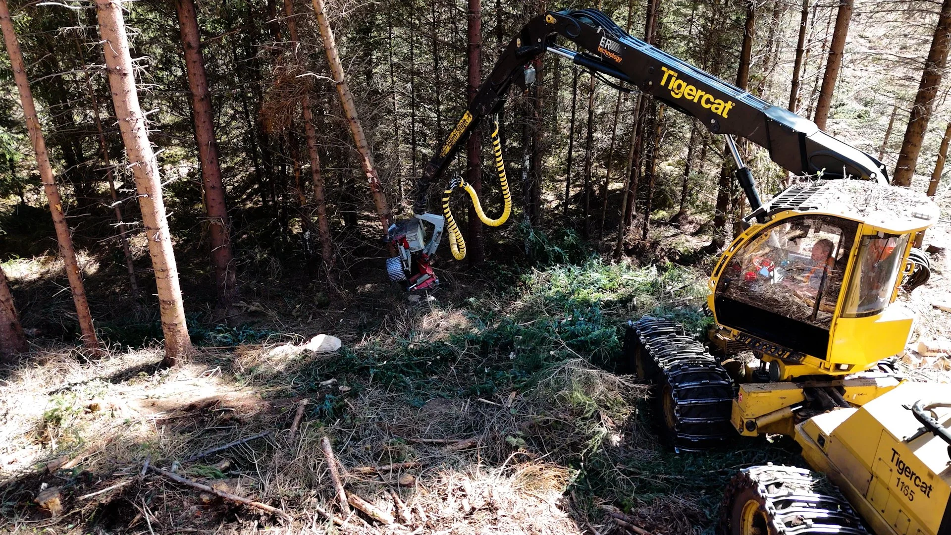 Bill's harvester.jpg