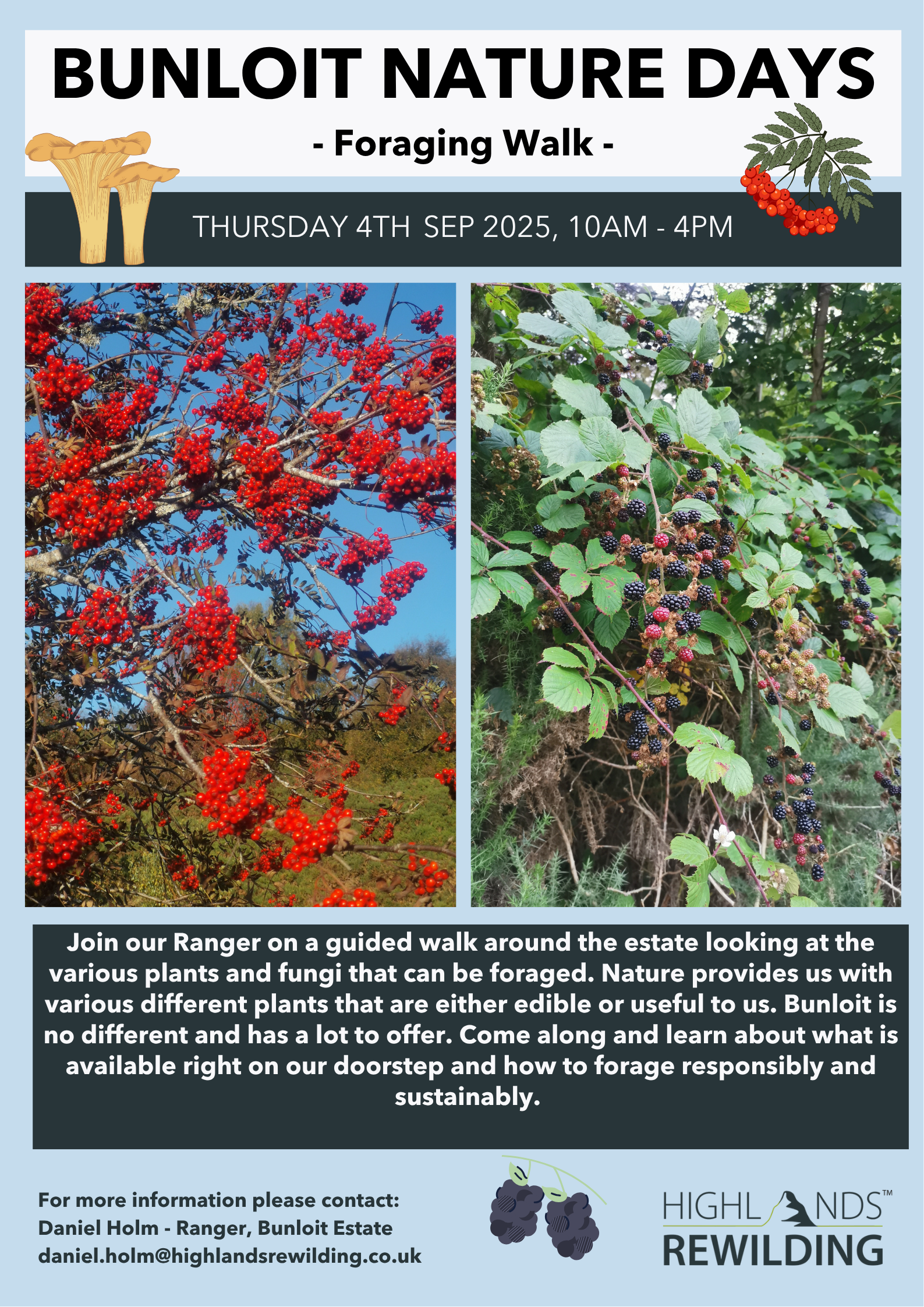 Bunloit Nature Days - Volunteering - Foraging Walk