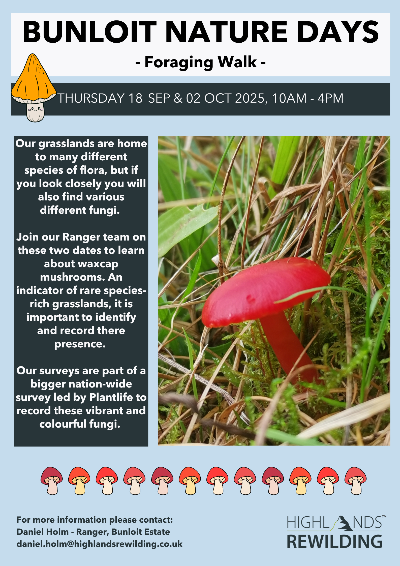 Bunloit Nature Days - Volunteering - Waxcap Survey