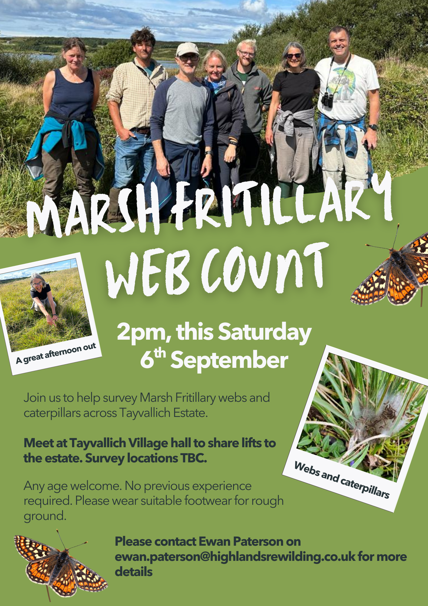 Marsh Fritillary Web Count - Tayvallich