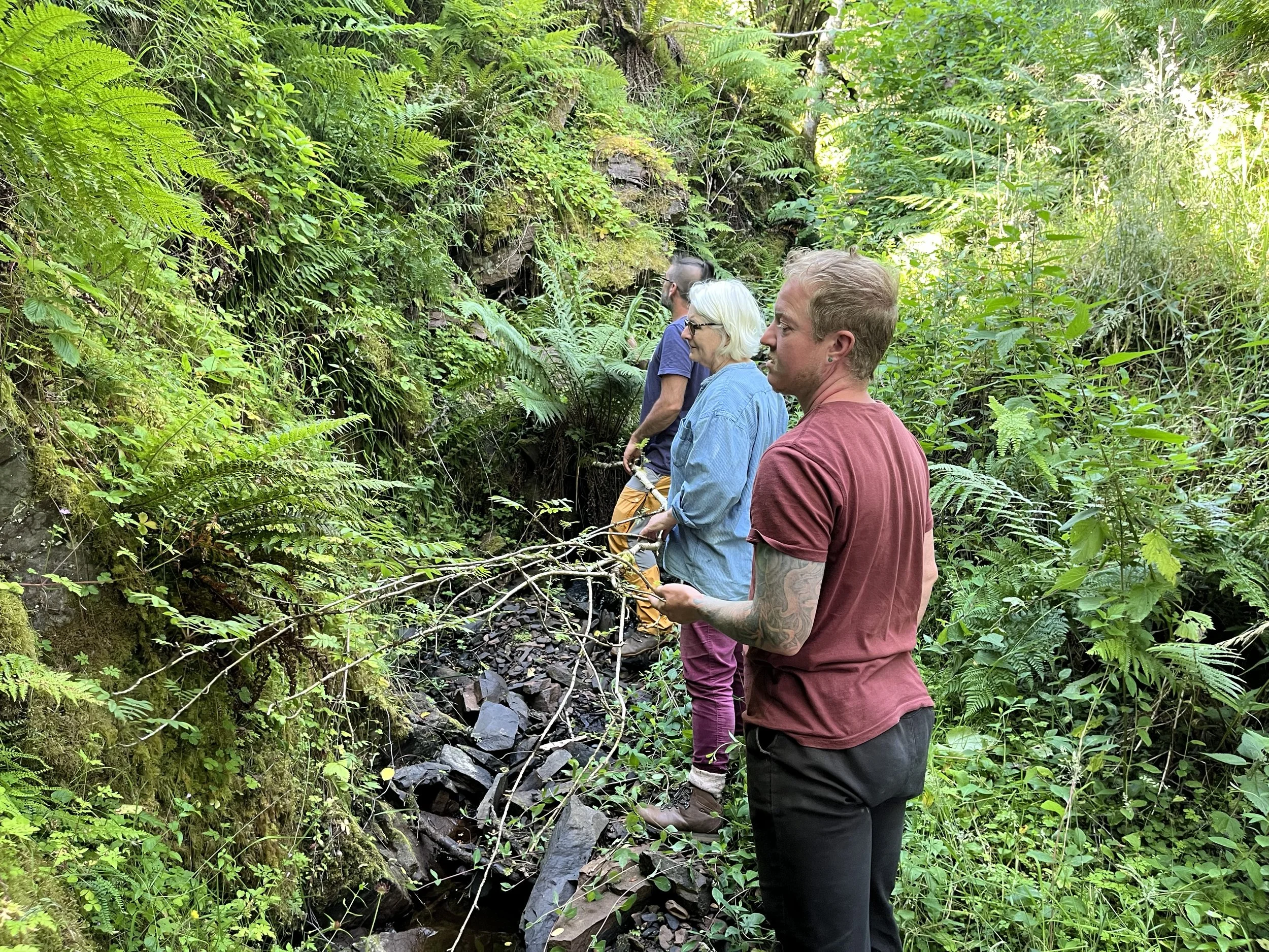 33 Volunteer Nature Days survey summer 2024.jpeg
