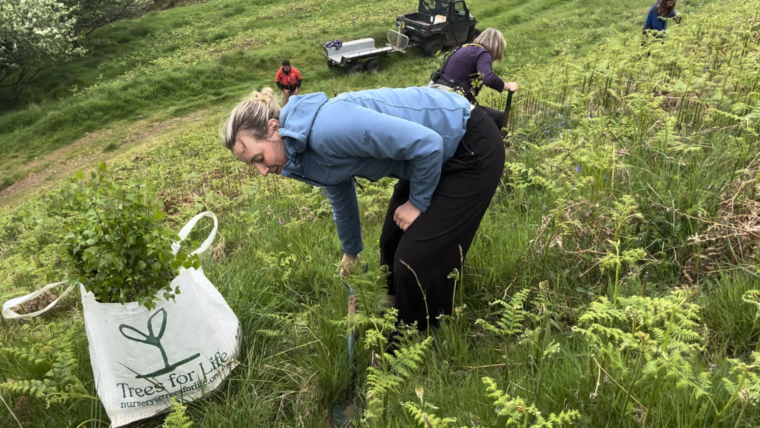 03 Volunteer Nature Days tree planters in bracken summer 2024.png