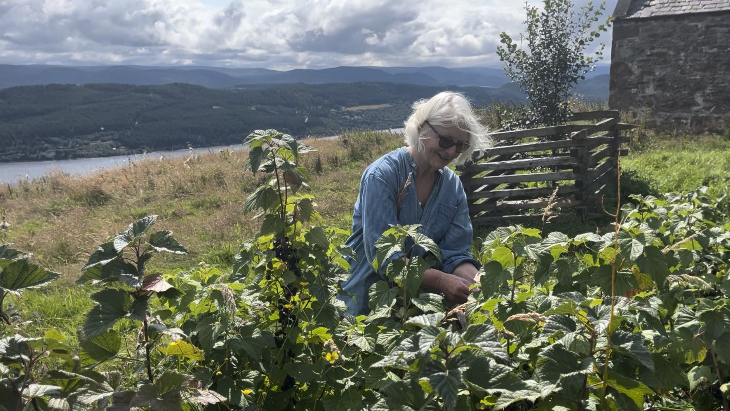 13 Volunteer Nature Days blackcurrent picking summer 2024.png