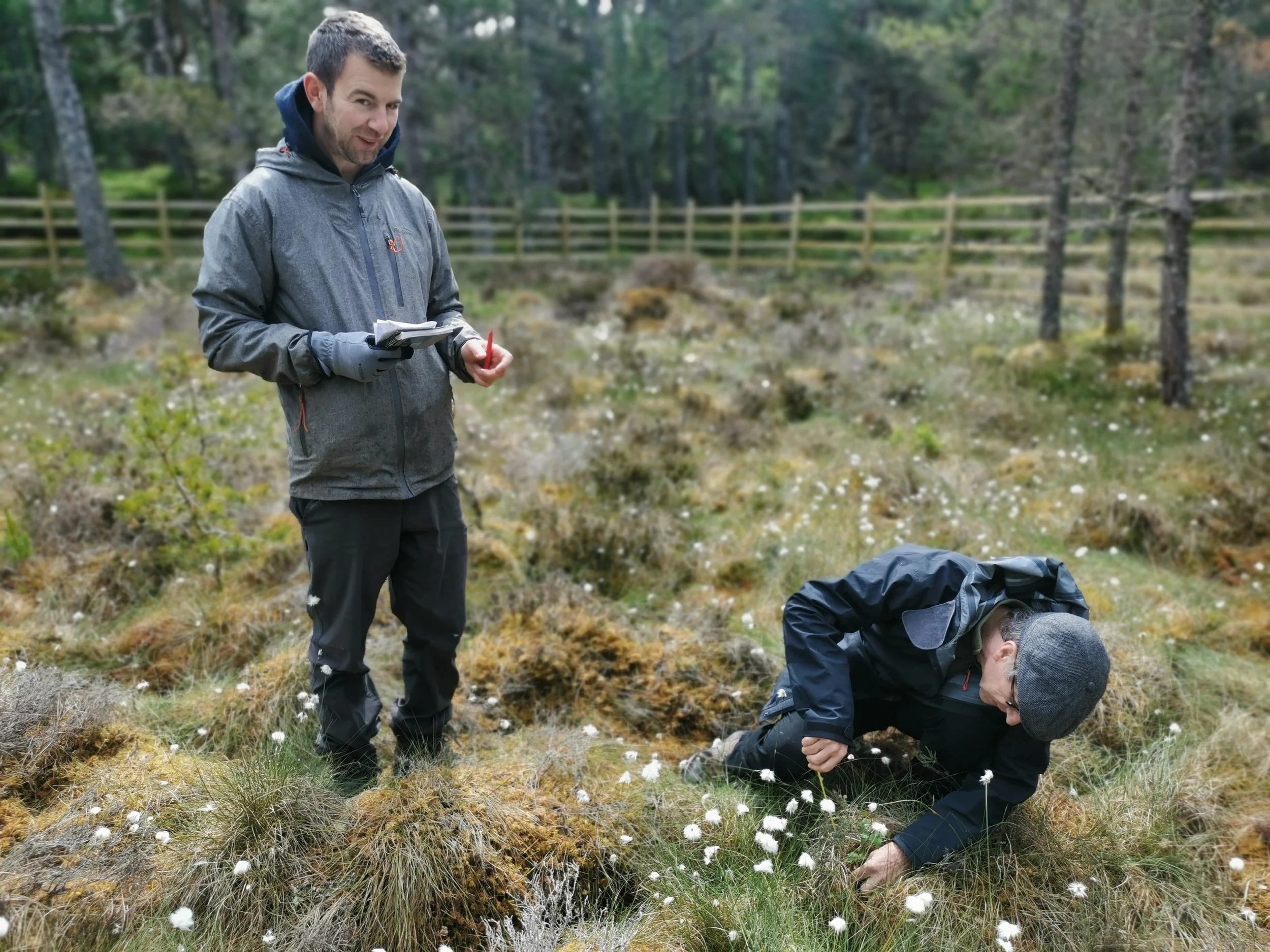 16 Volunteers measuring and recording trees June 2025.jpg