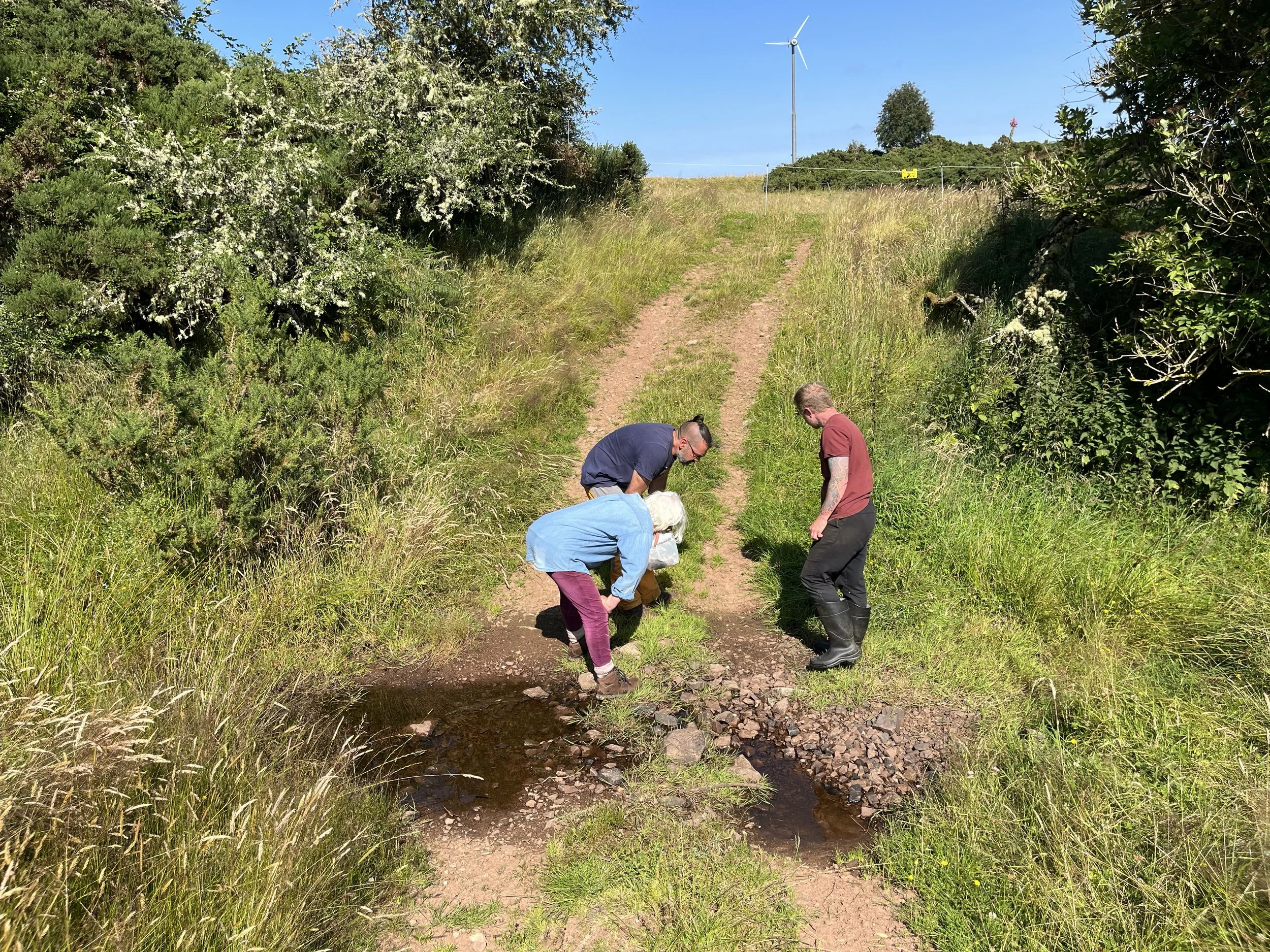 38 Volunteer Nature Days survey summer 2024.jpeg