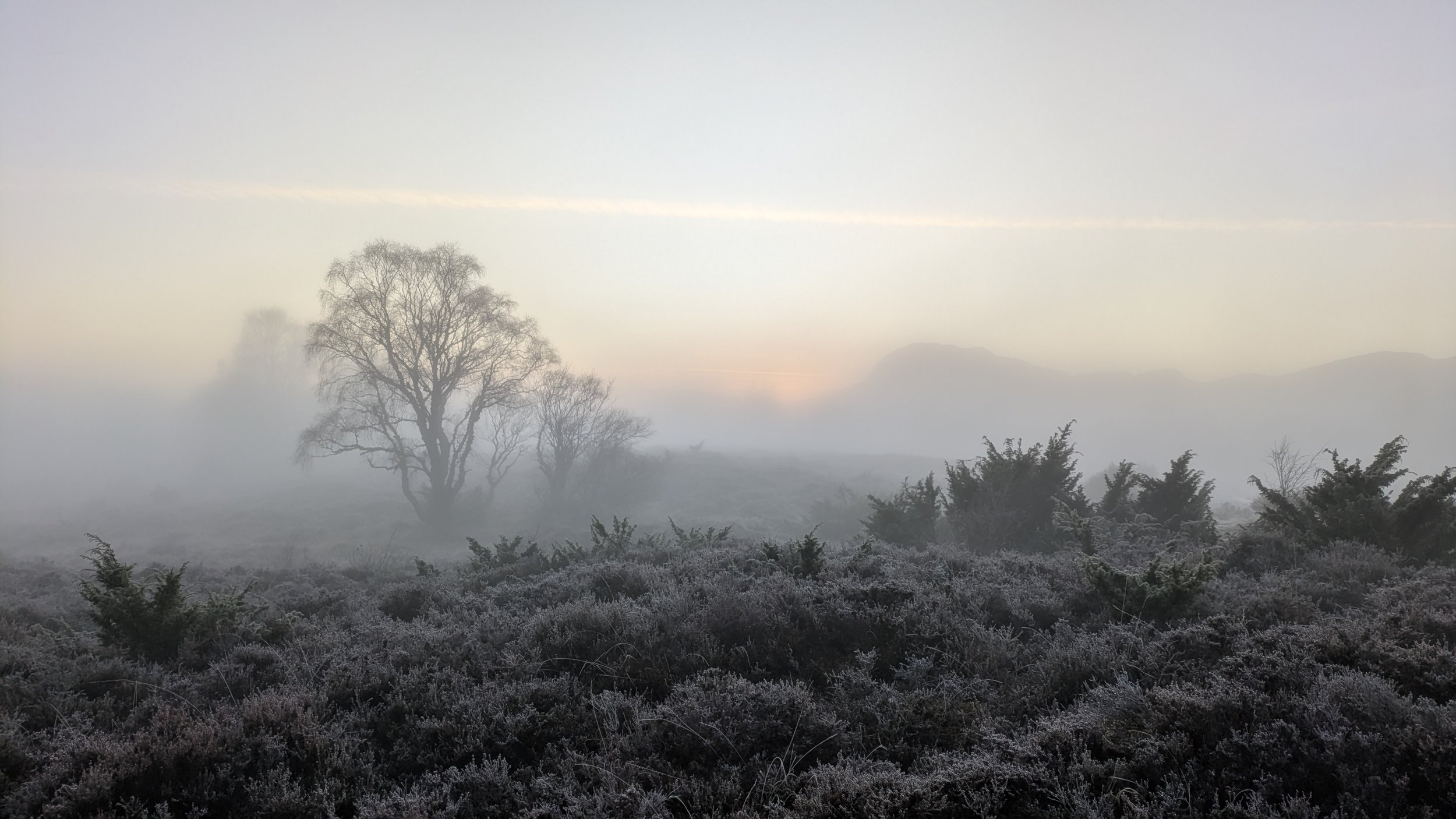 Great Glen way view 1.jpg