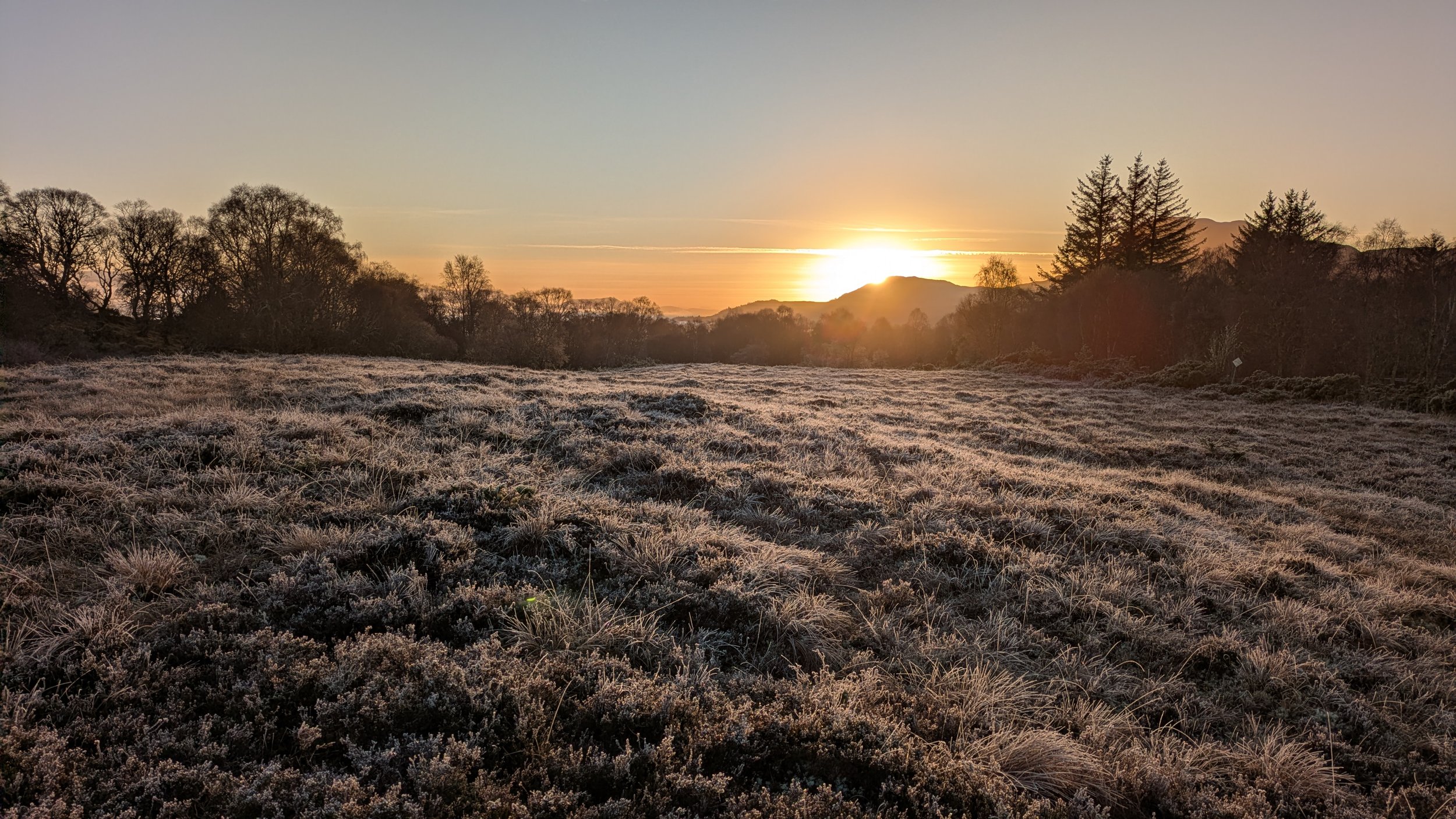 Great Glen way view 3.jpg