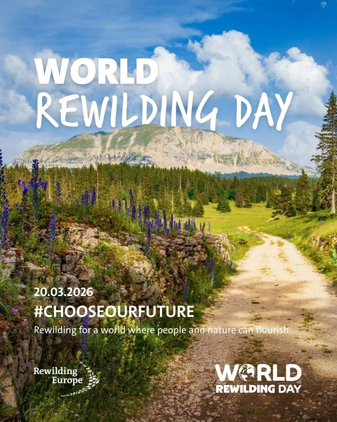 This year, rewilders across the world are&nbsp;choosing our future