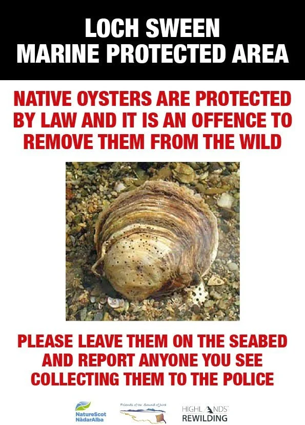 A close up of the signs in place