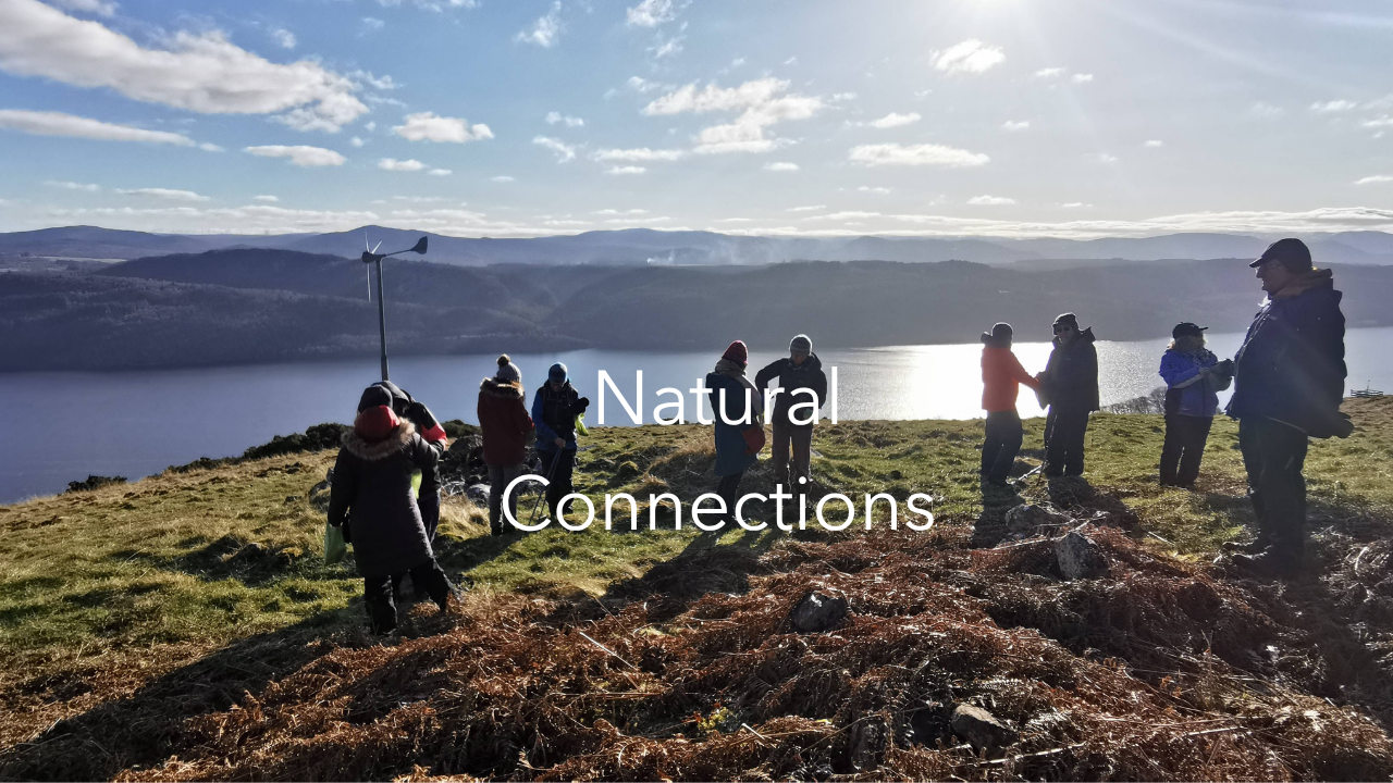 Natural Connections