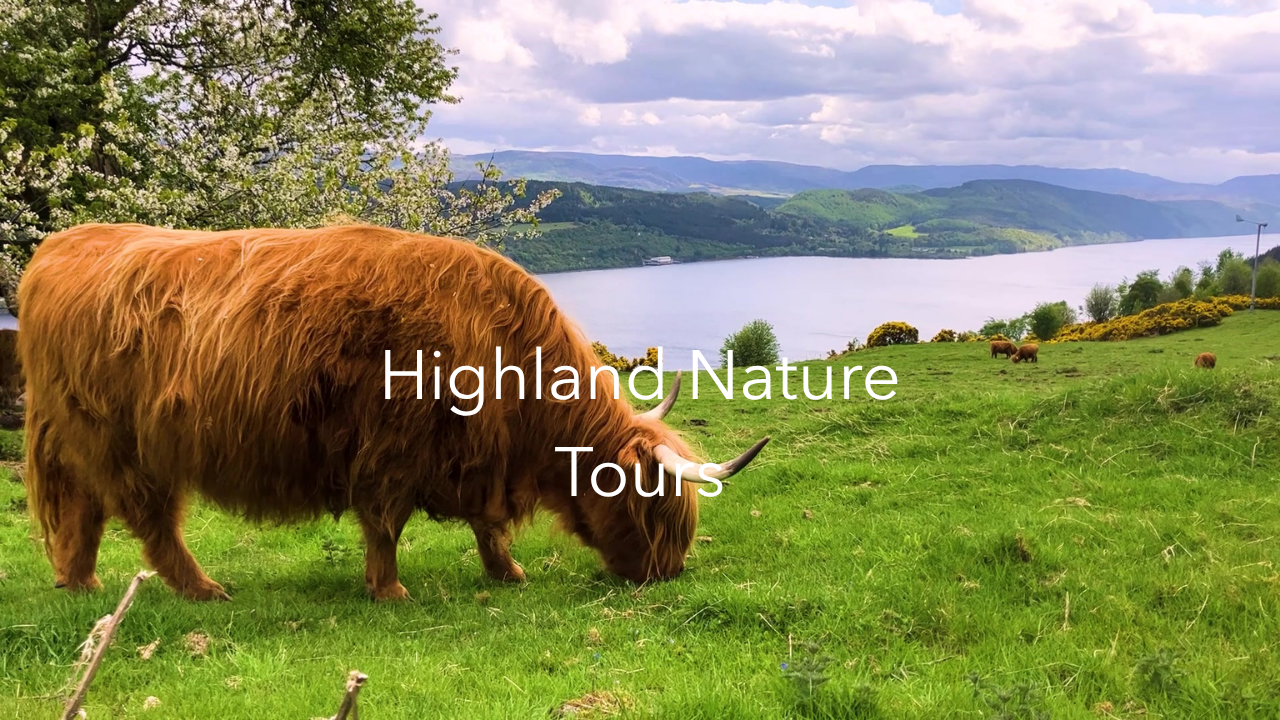 Nature Tours