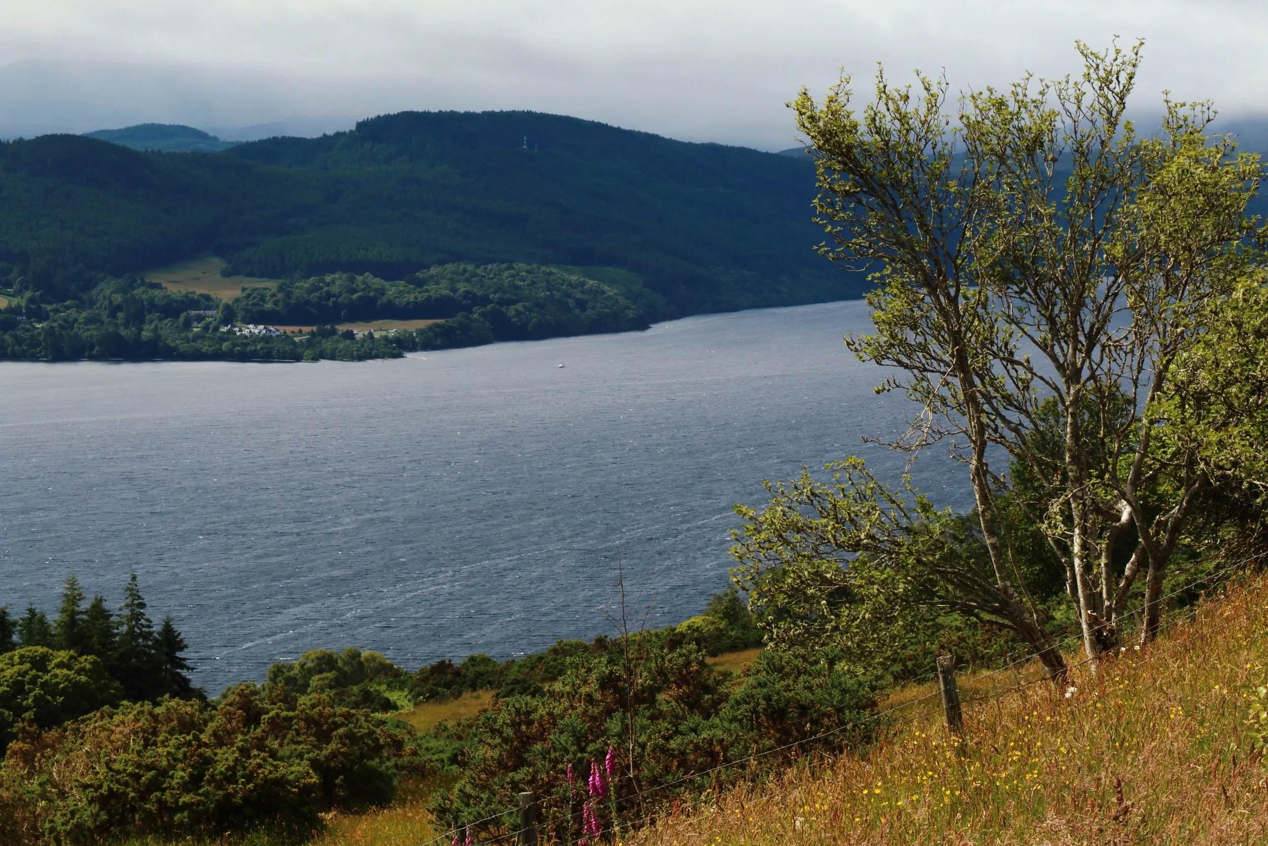 Easter Bunloit - the view over Loch Ness.JPG