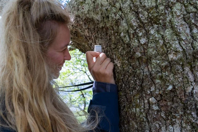 Rewilding insights
