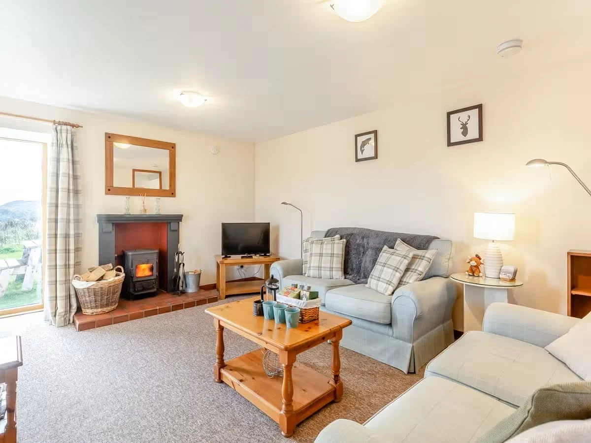 Wester - sitting room with fire.jpeg