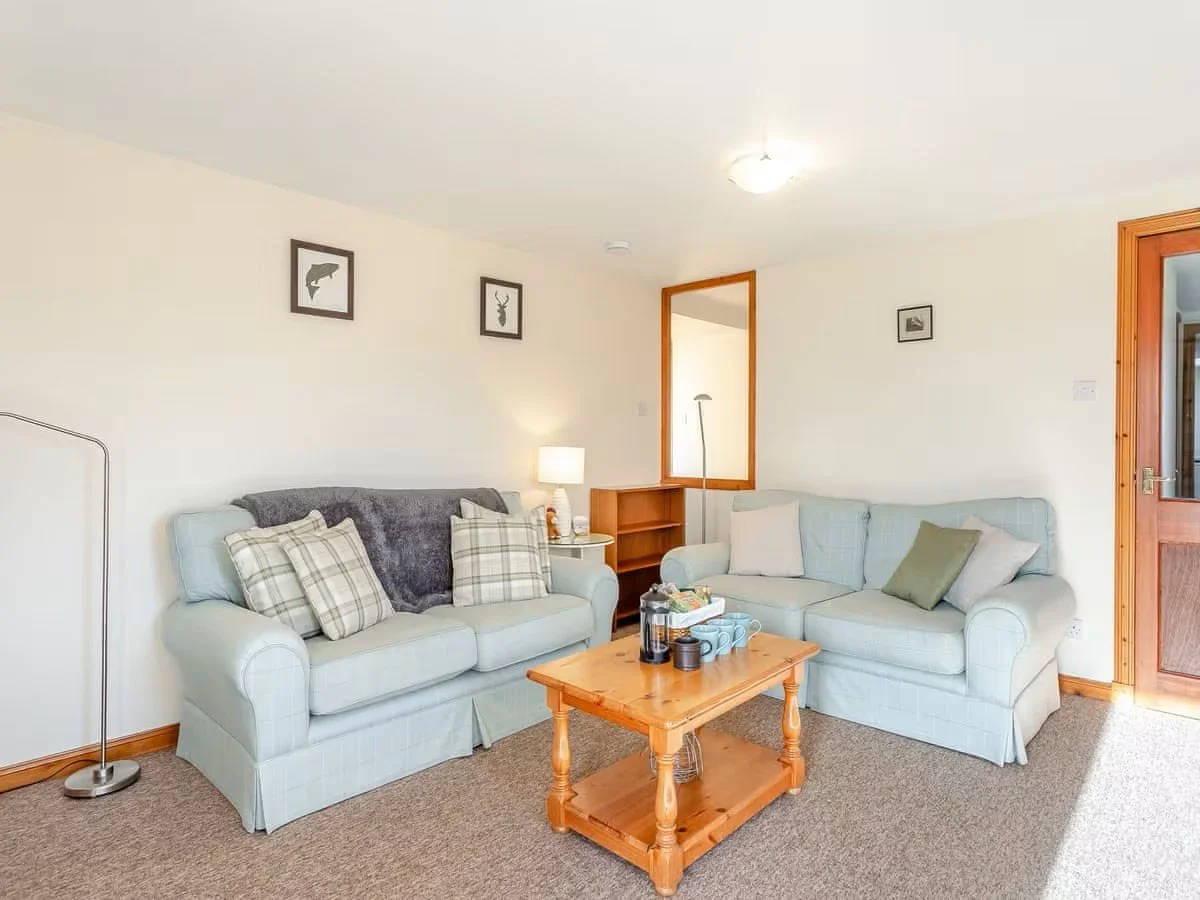 Wester - sitting room with fire 2.jpeg