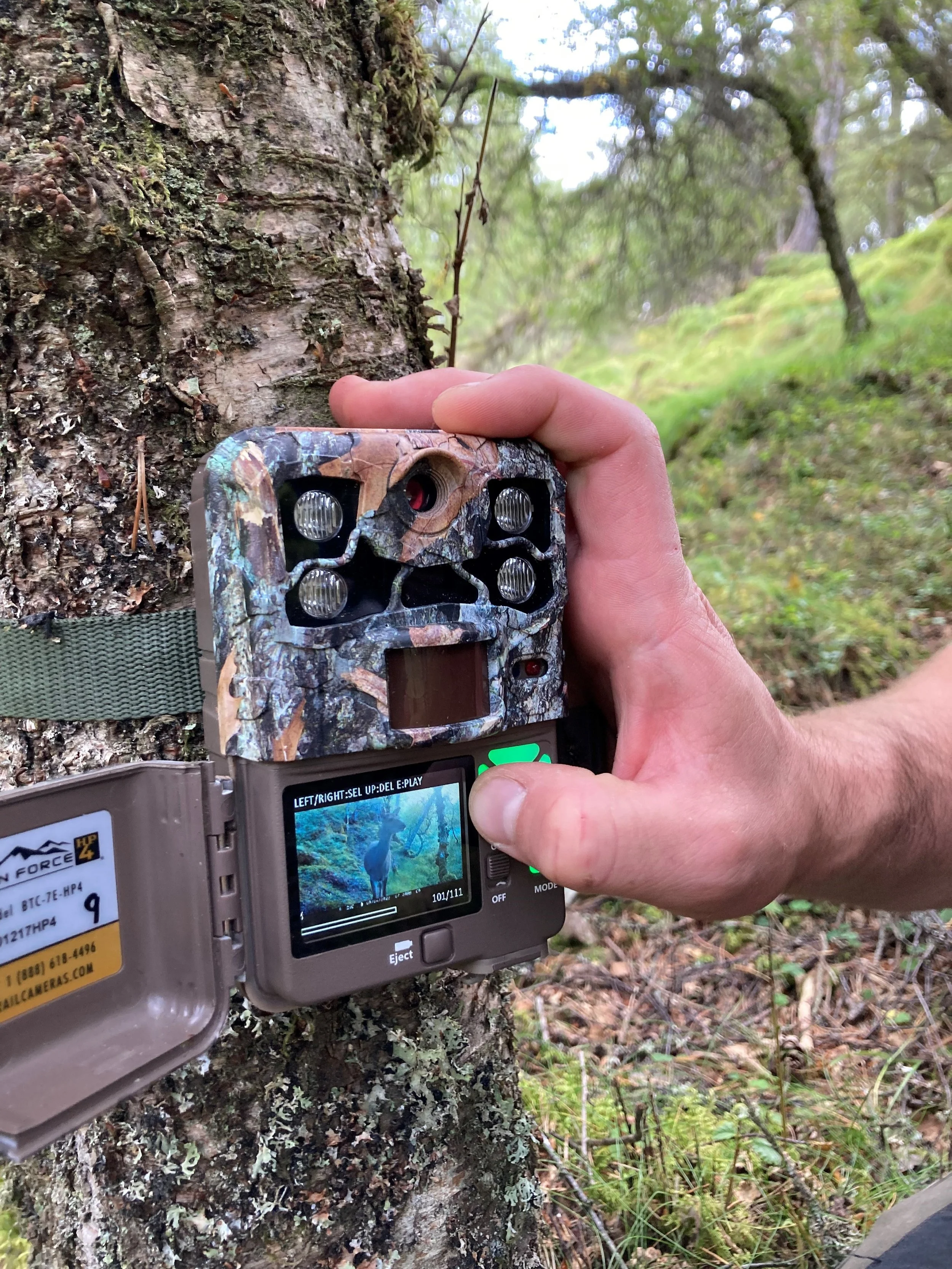 Research — Highlands Rewilding