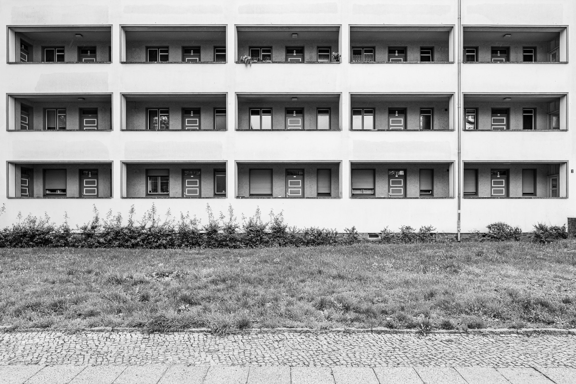 20210514-_DSC0939-1.jpg