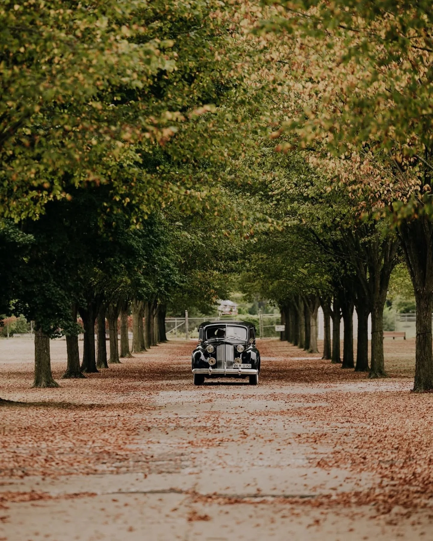 A beautiful intimate late‑September wedding at the Packard Proving Grounds Historic Site, as Ashley and Rob exchanged vows in front of the Lodge, making it the very first wedding ceremony to be held outside that charming, iconic structure. It was per