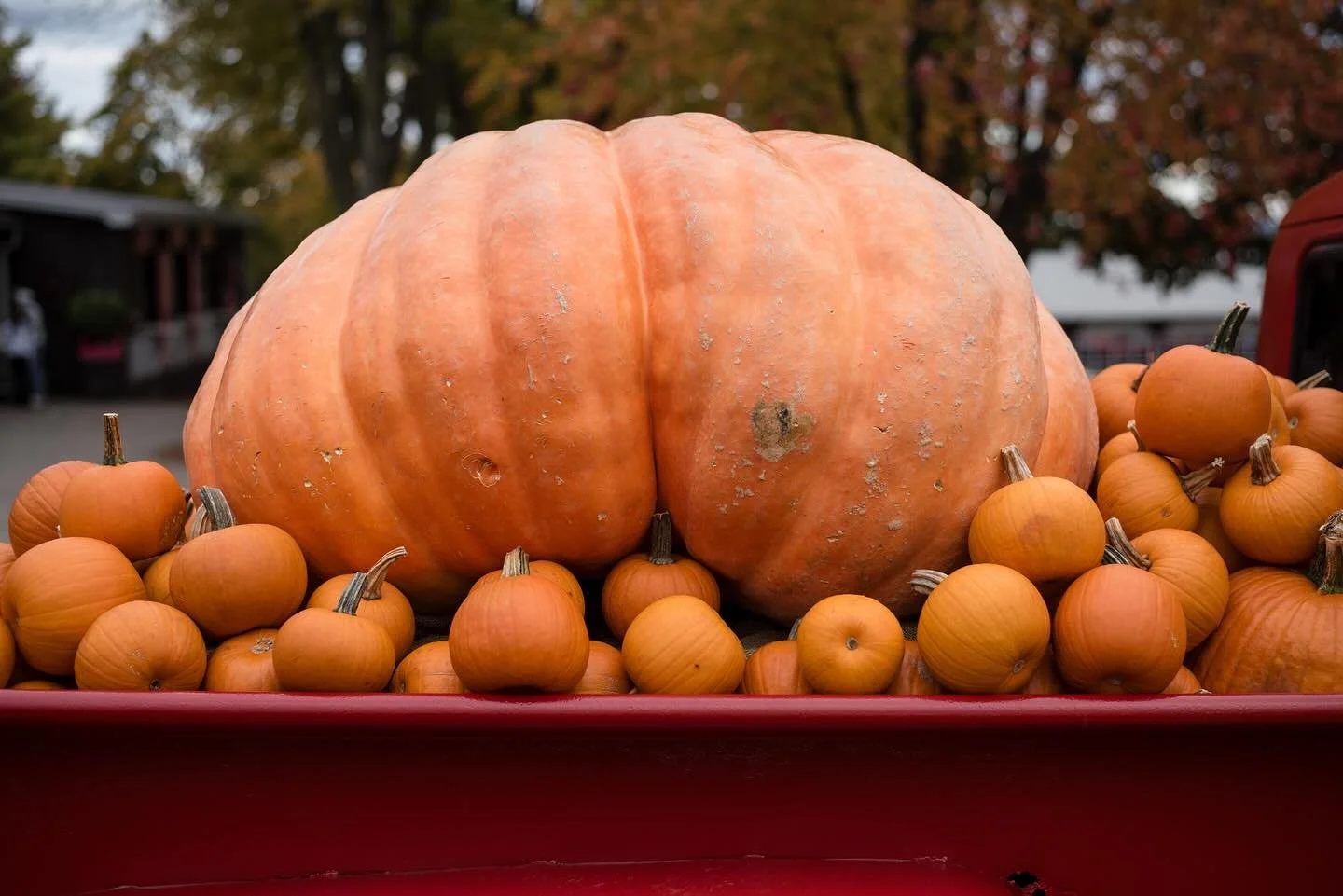 Happy Halloween weeners 
🎃