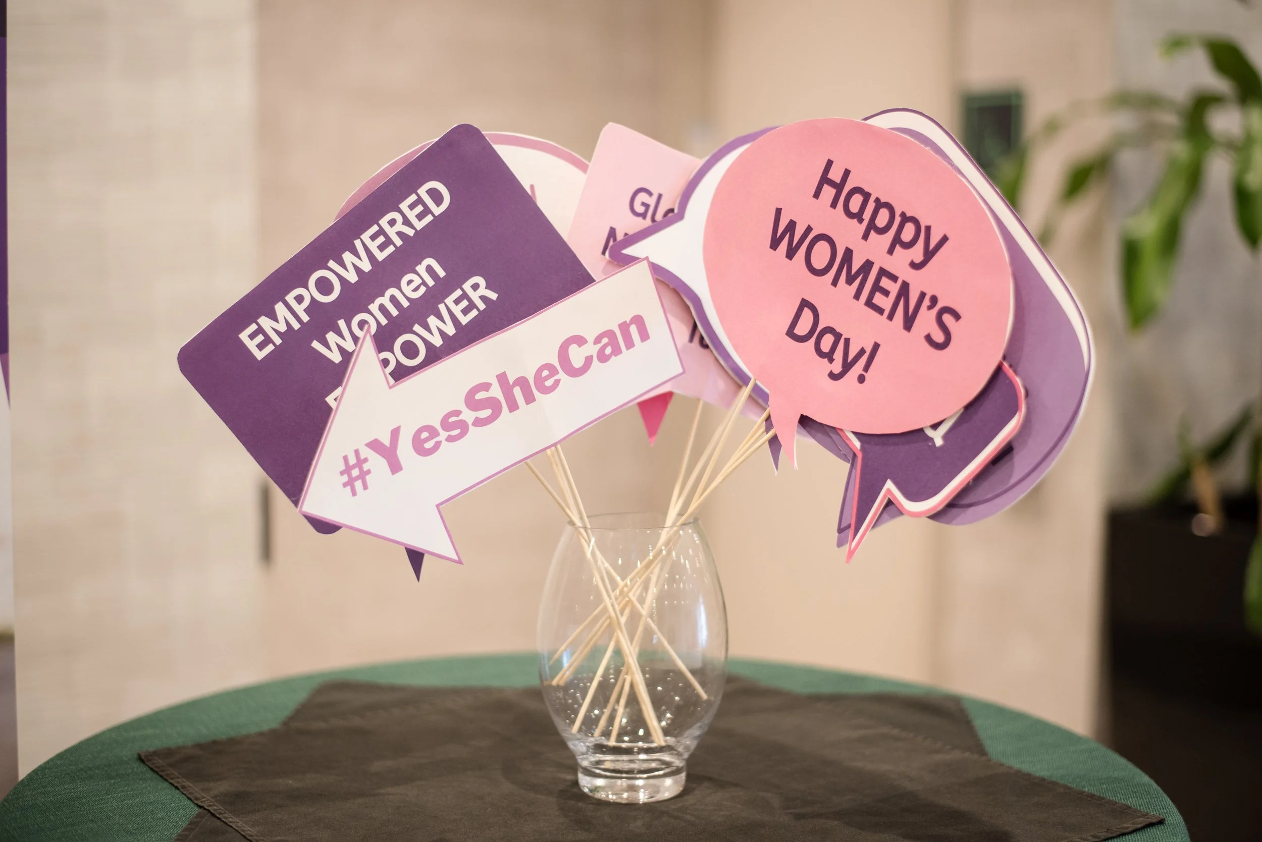 IWD5.jpg